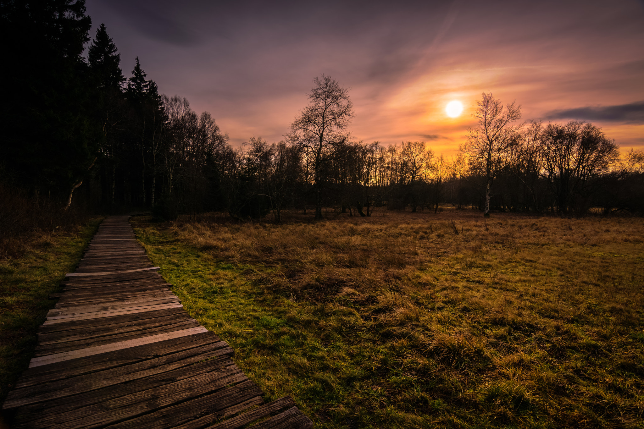 Nikon D5300 + Tokina AT-X 12-28mm F4 Pro DX sample photo. Footbridge through the black moor photography