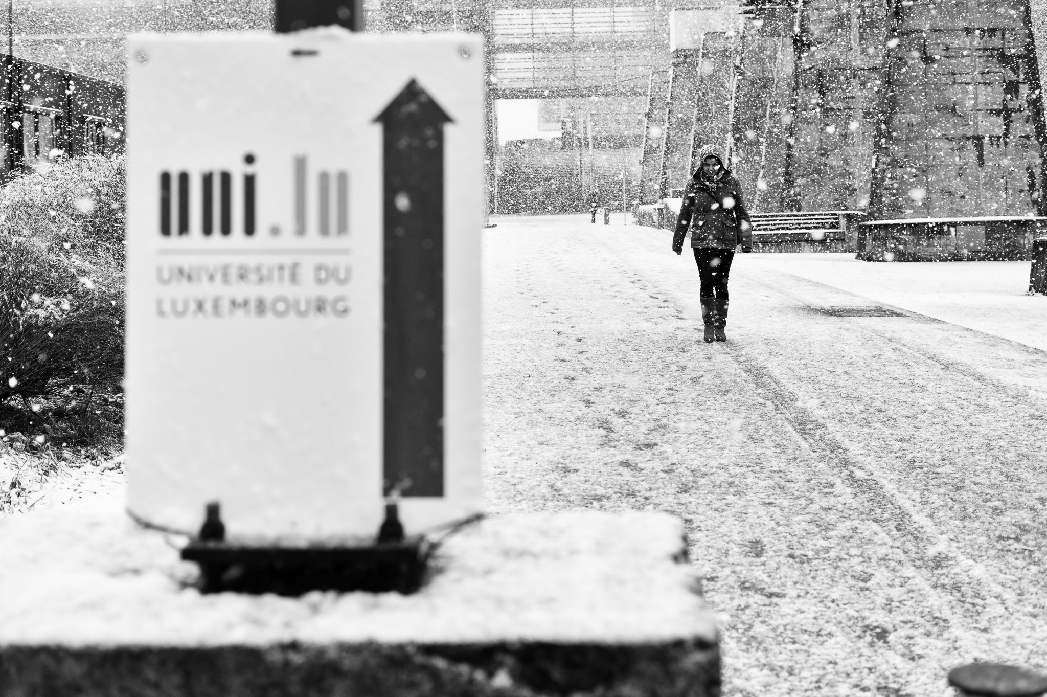Summicron-M 50mm f/2 (IV, V) sample photo. Uni.lu photography