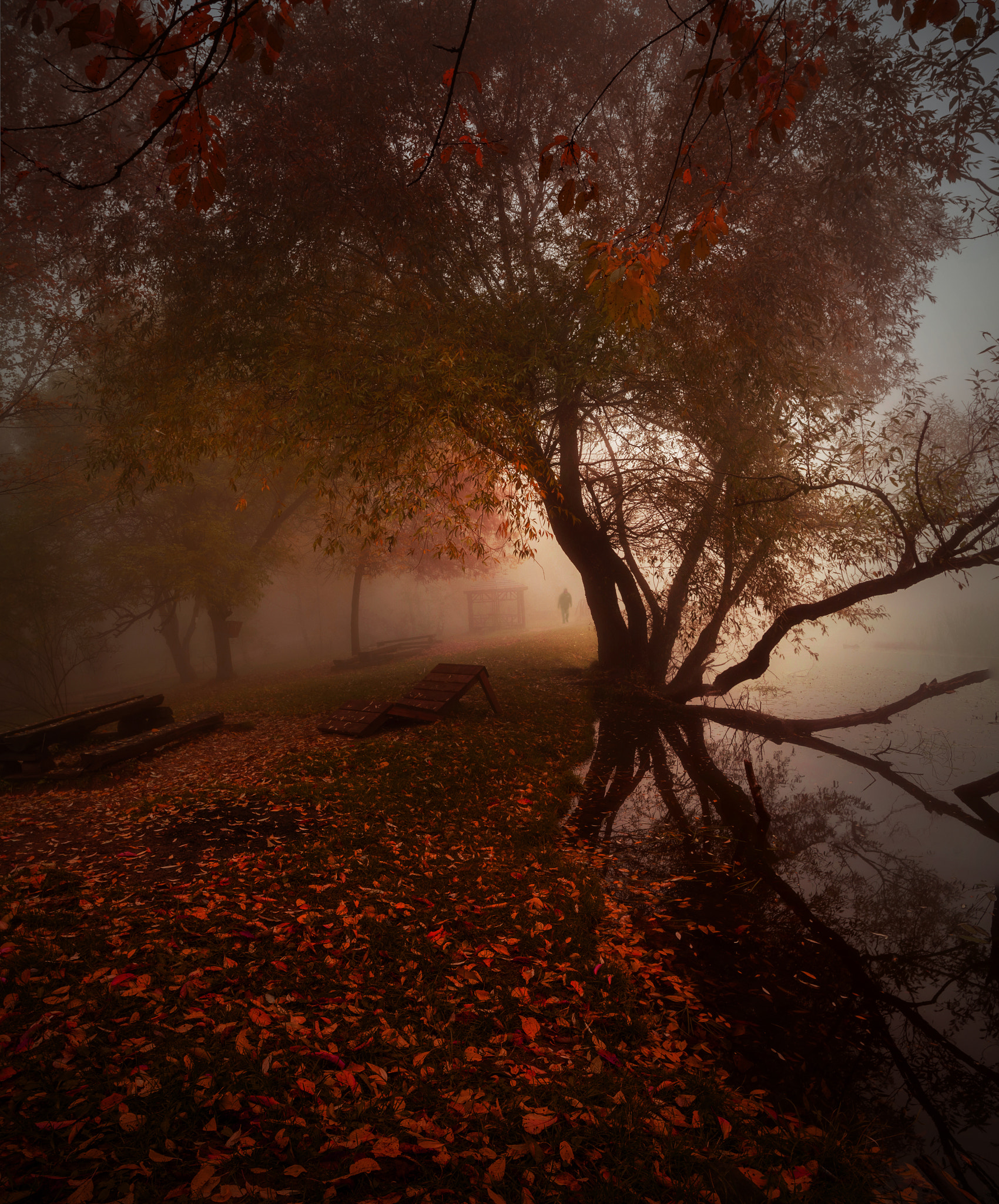 HD Pentax DA 15mm F4 ED AL Limited sample photo. Autumn mist photography