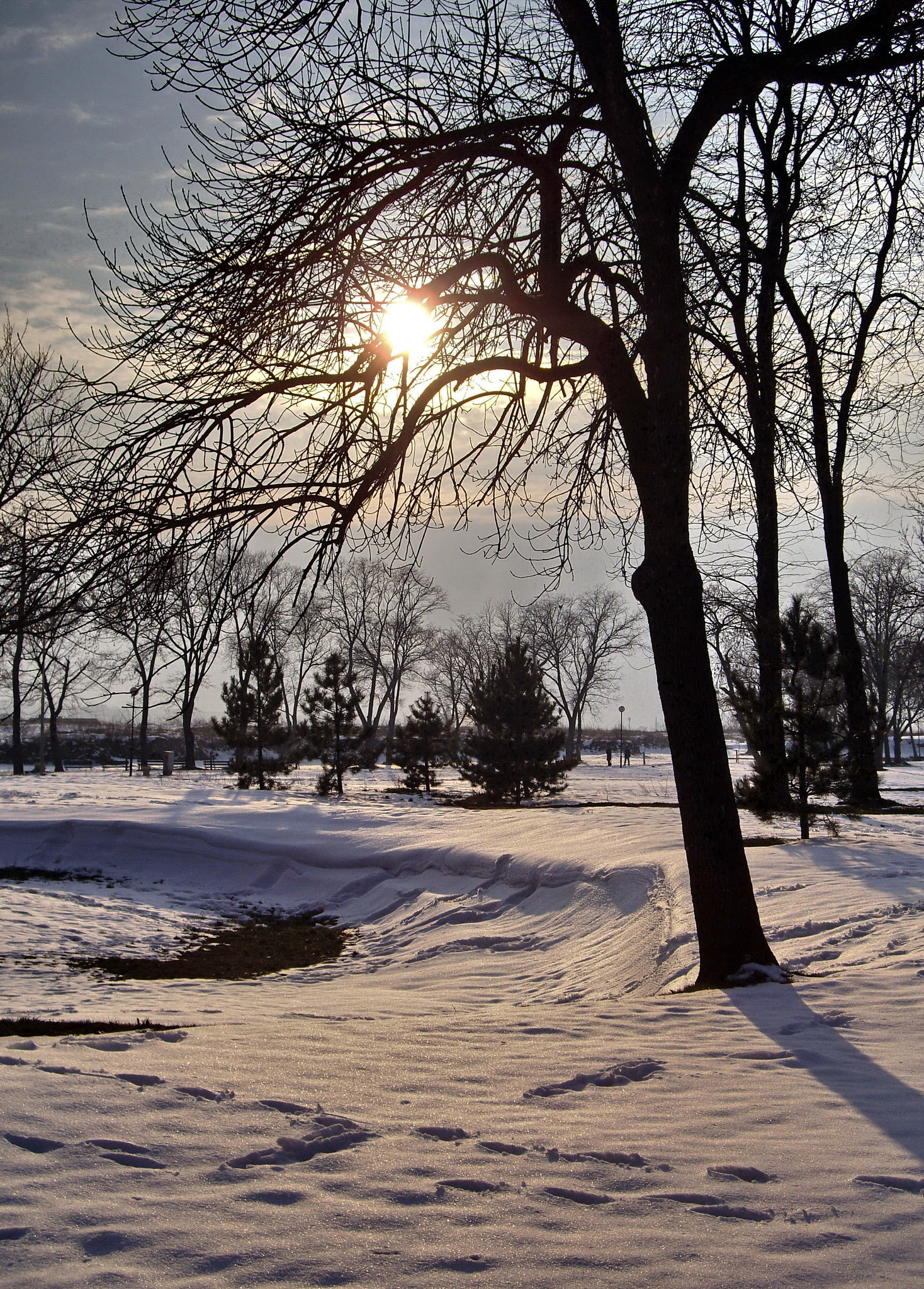 Pentax OPTIO A30 sample photo. Winter sun photography
