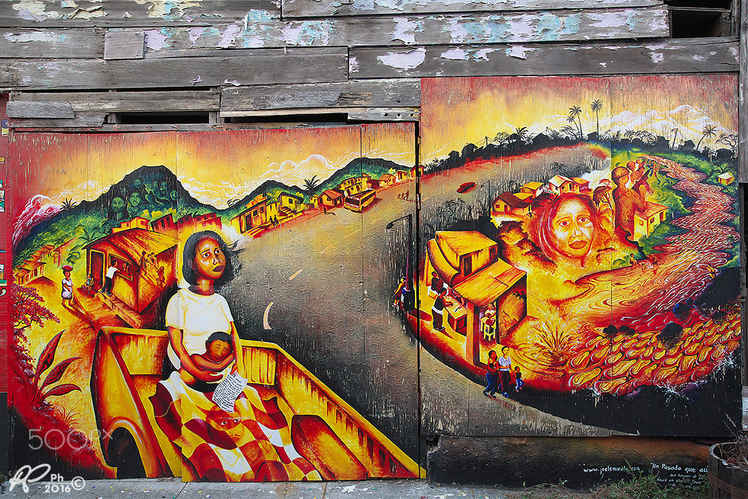 VR 24-105mm F/4.0 G sample photo. Murales at mission district photography
