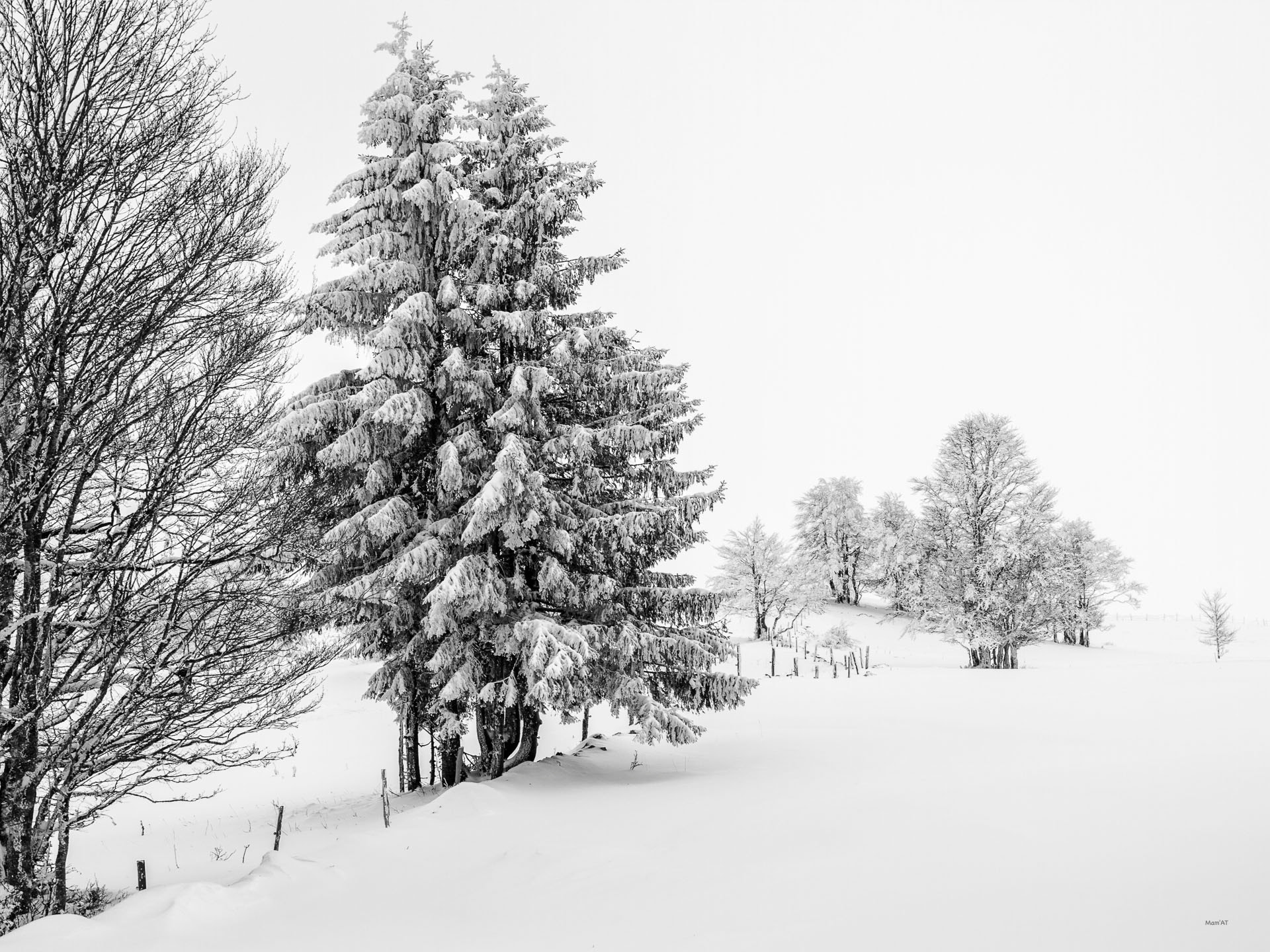 Canon EF 35mm F2 IS USM sample photo. Hivernal photography