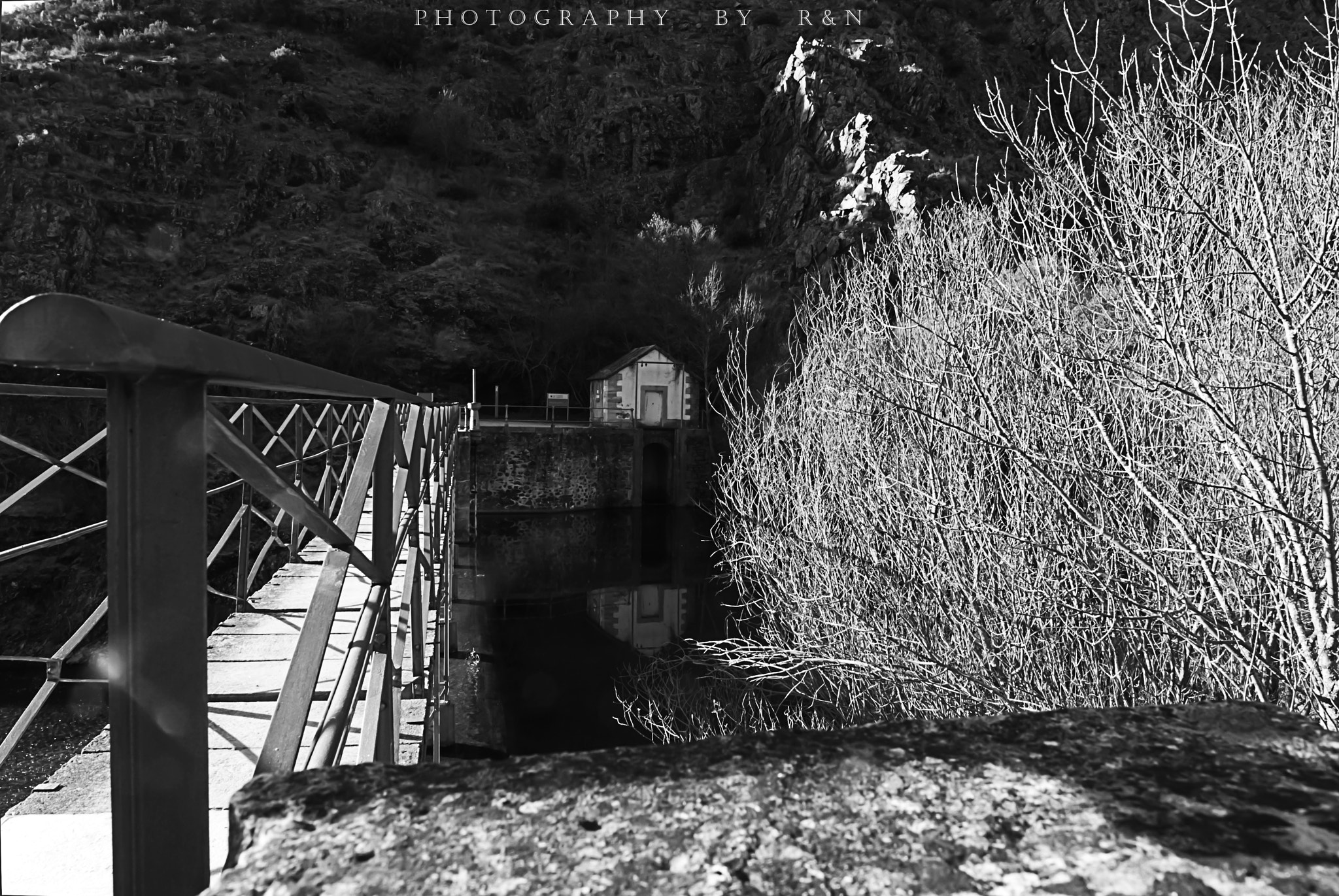 Sigma 17-50mm F2.8 EX DC OS HSM sample photo. Presa photography