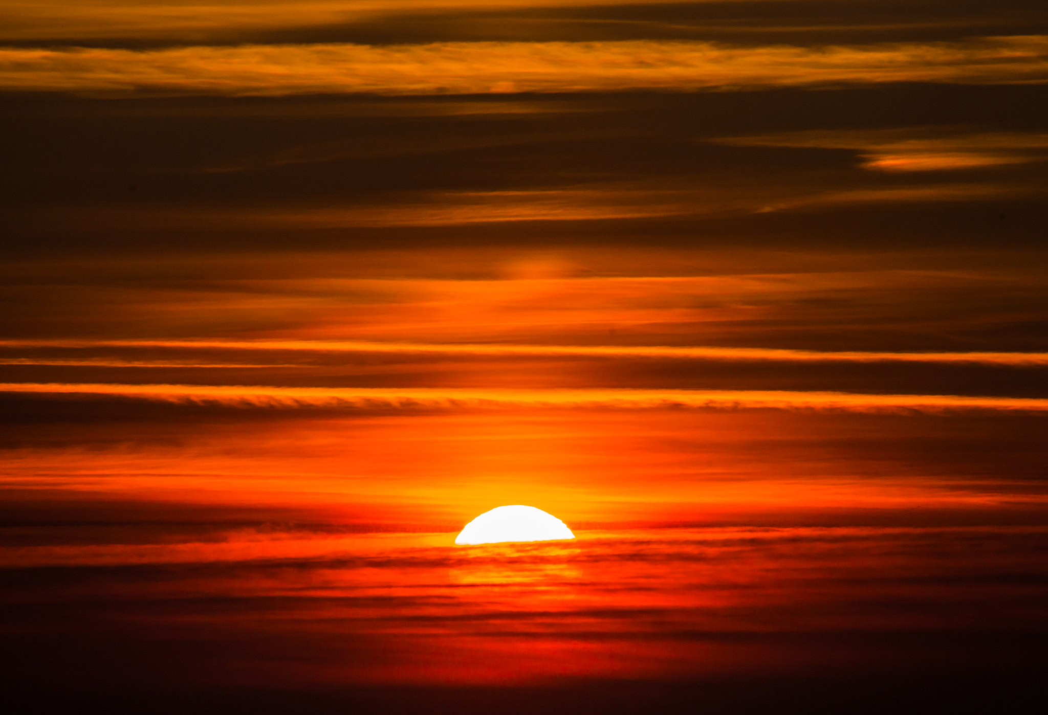 Canon EF 75-300mm f/4-5.6 USM sample photo. Colourset photography