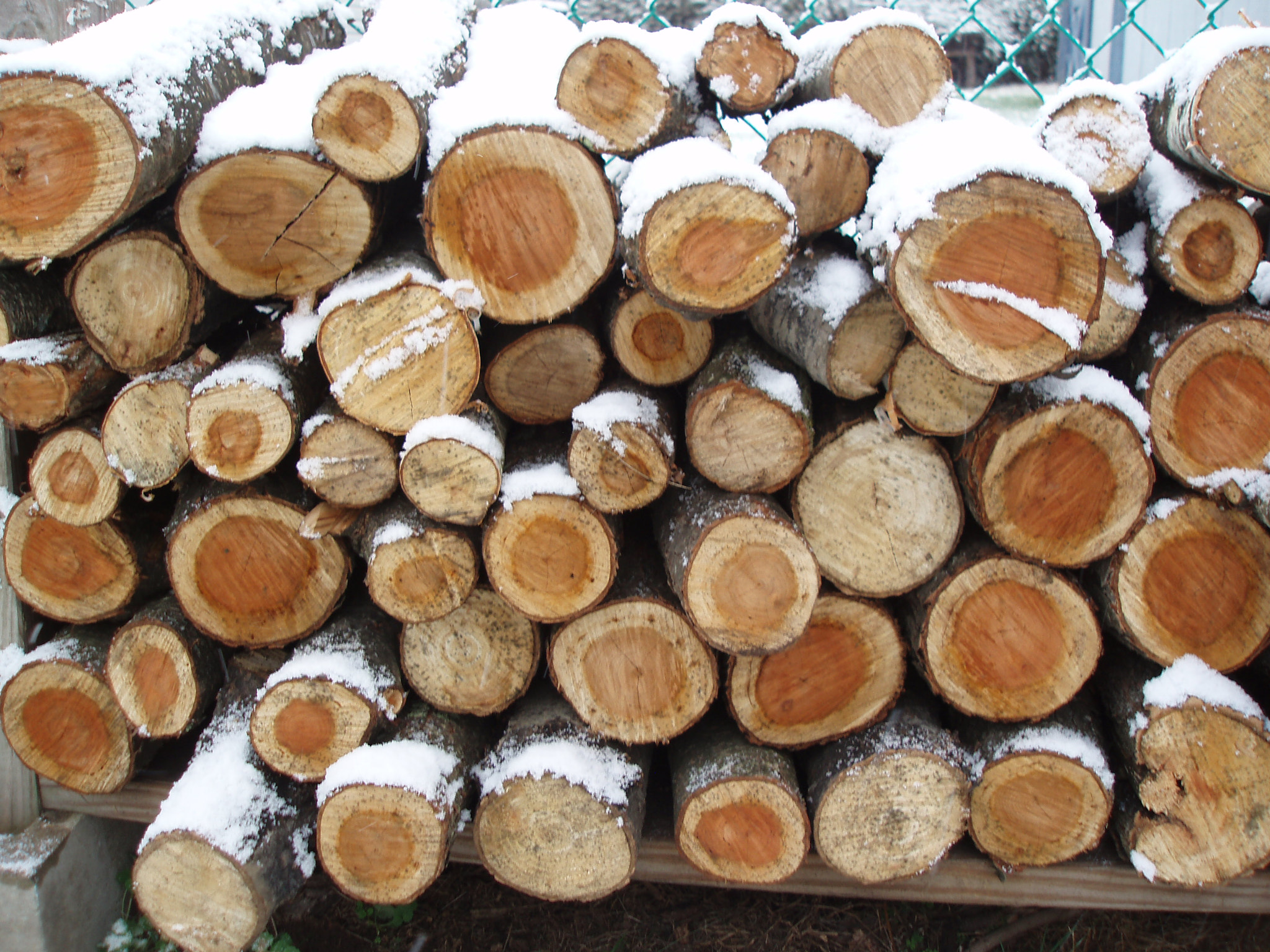 Olympus uD800,S800 sample photo. Firewood photography