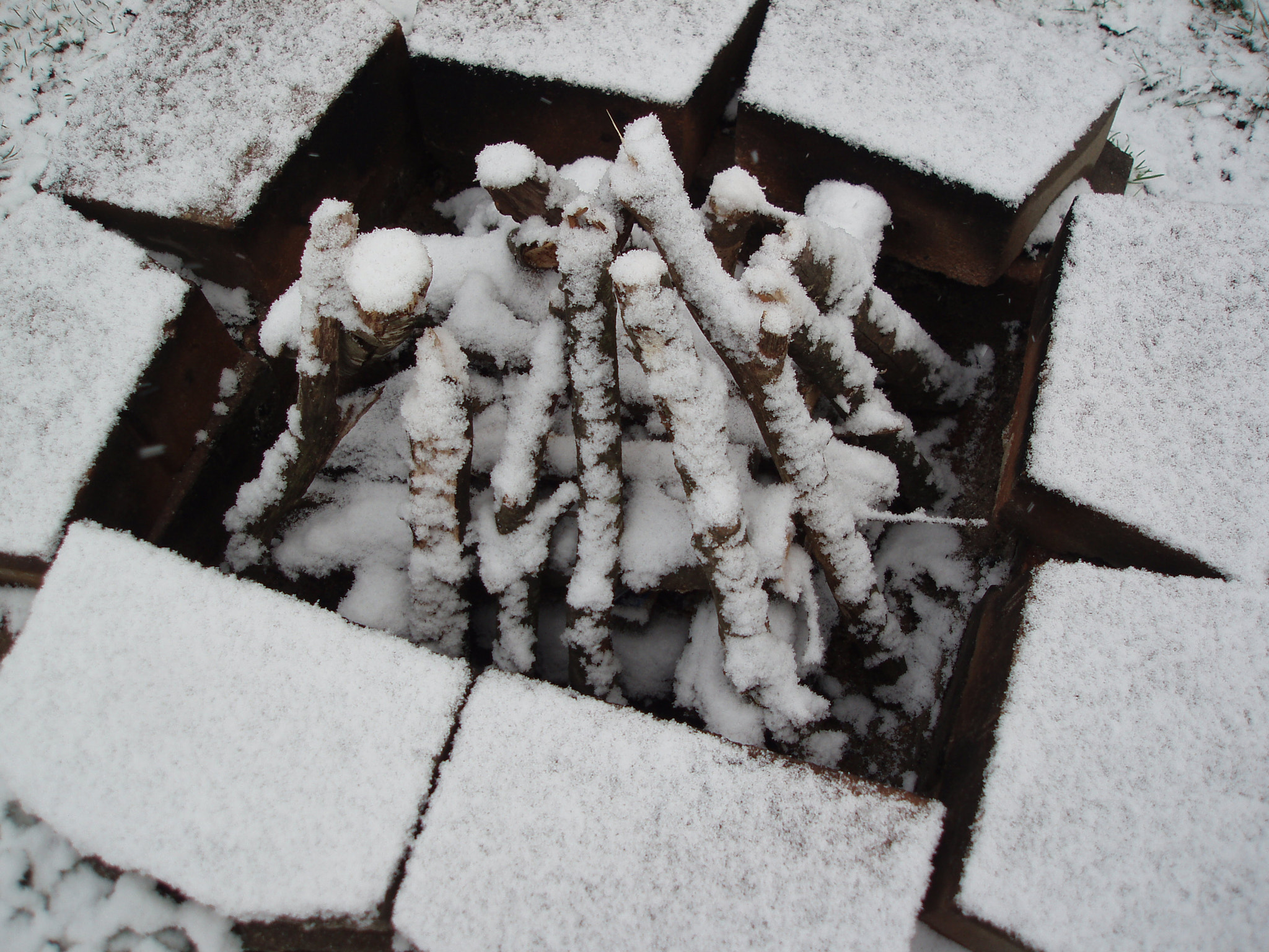 Olympus uD800,S800 sample photo. Firepit photography
