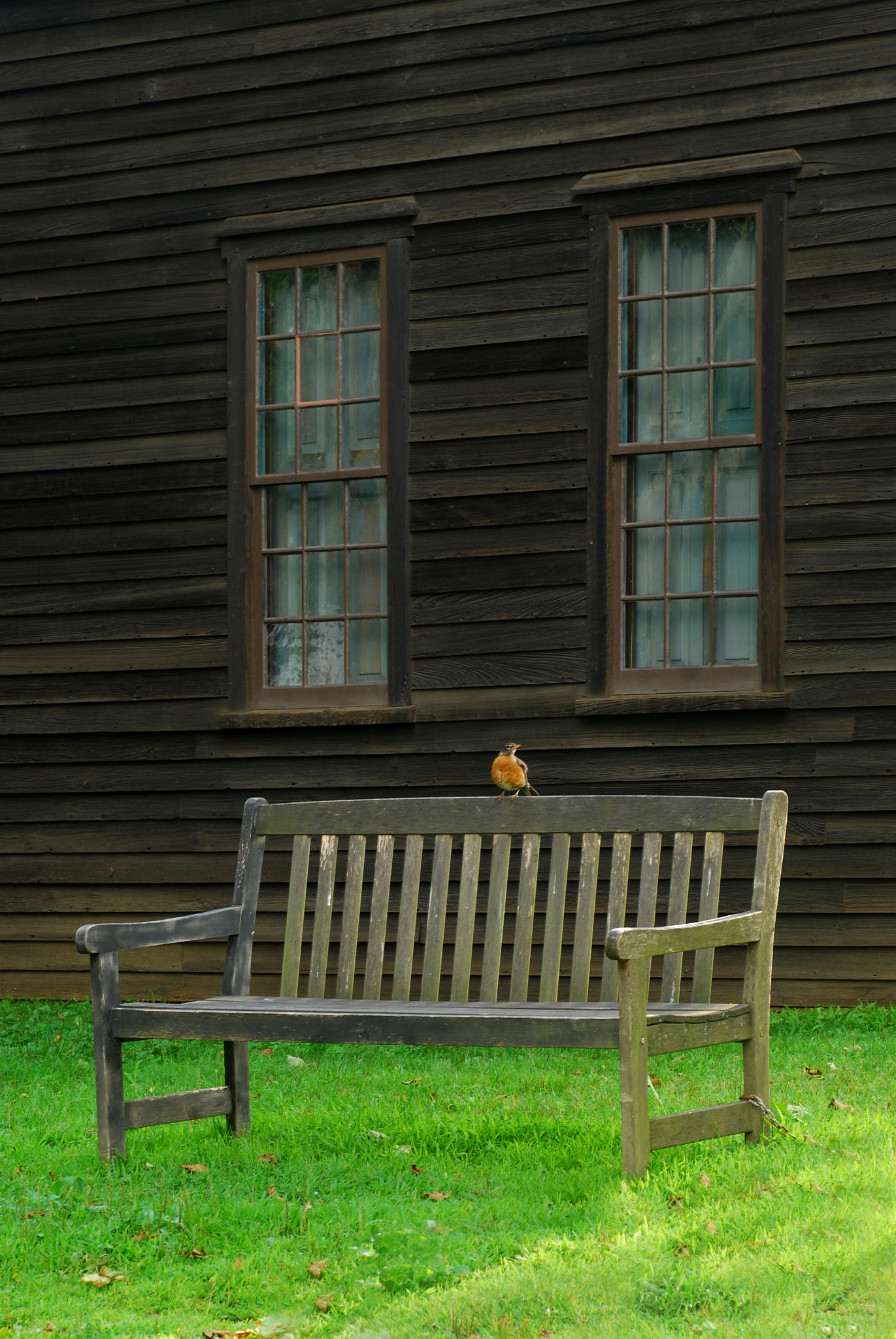 Nikon D40X sample photo. Young robin at old deerfield photography