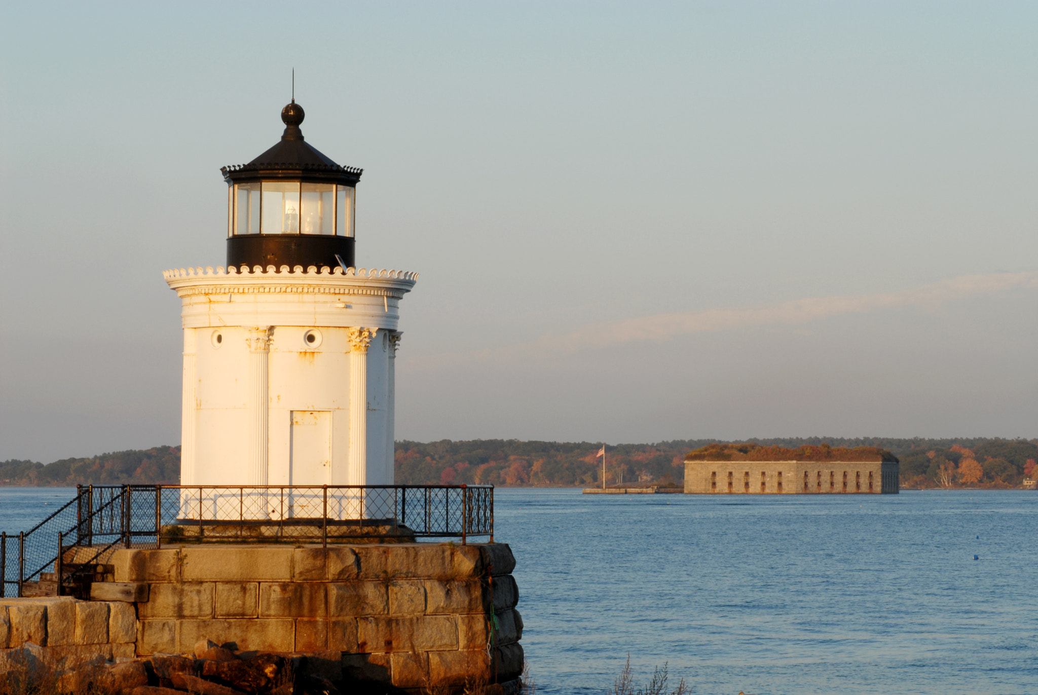 Nikon D200 sample photo. Bug light photography