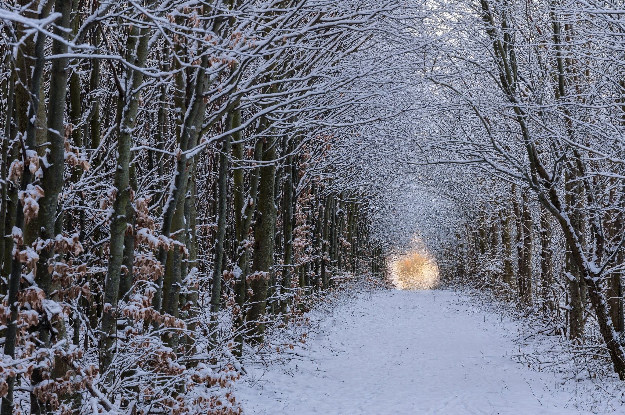 Sigma 17-70mm F2.8-4 DC Macro HSM sample photo. Spring at the end of the tunnel photography