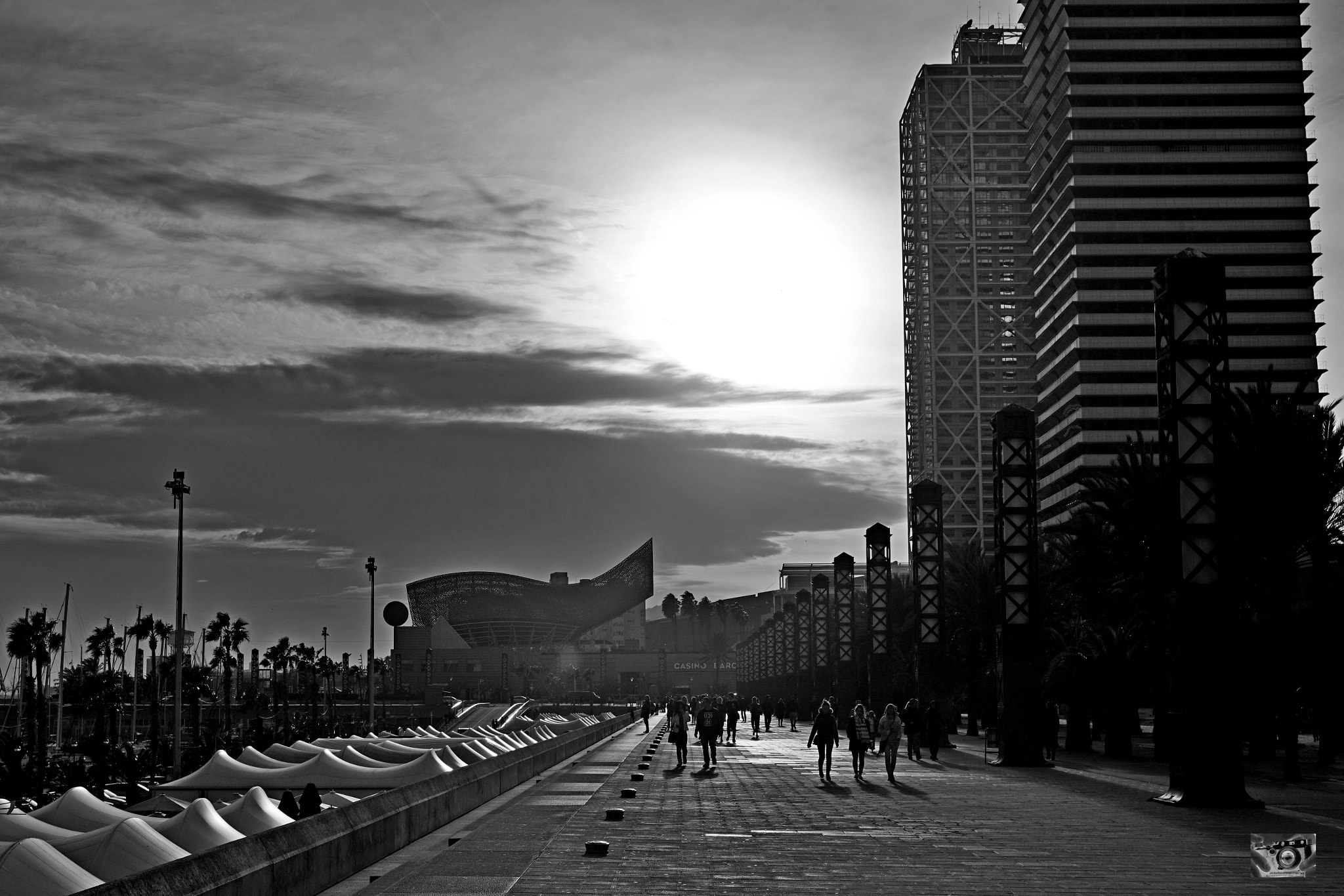 Sony a7R II + Sigma 35mm F1.4 DG HSM Art sample photo. Dsc00304.jpg photography