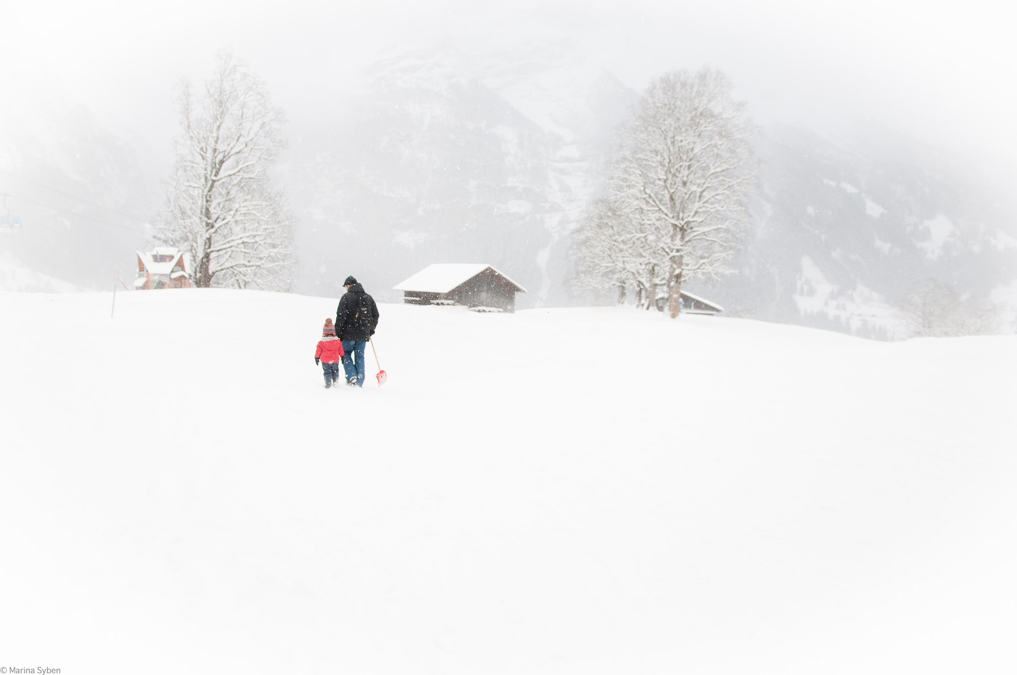 Nikon D90 + Sigma 18-35mm F1.8 DC HSM Art sample photo. Through the snow photography