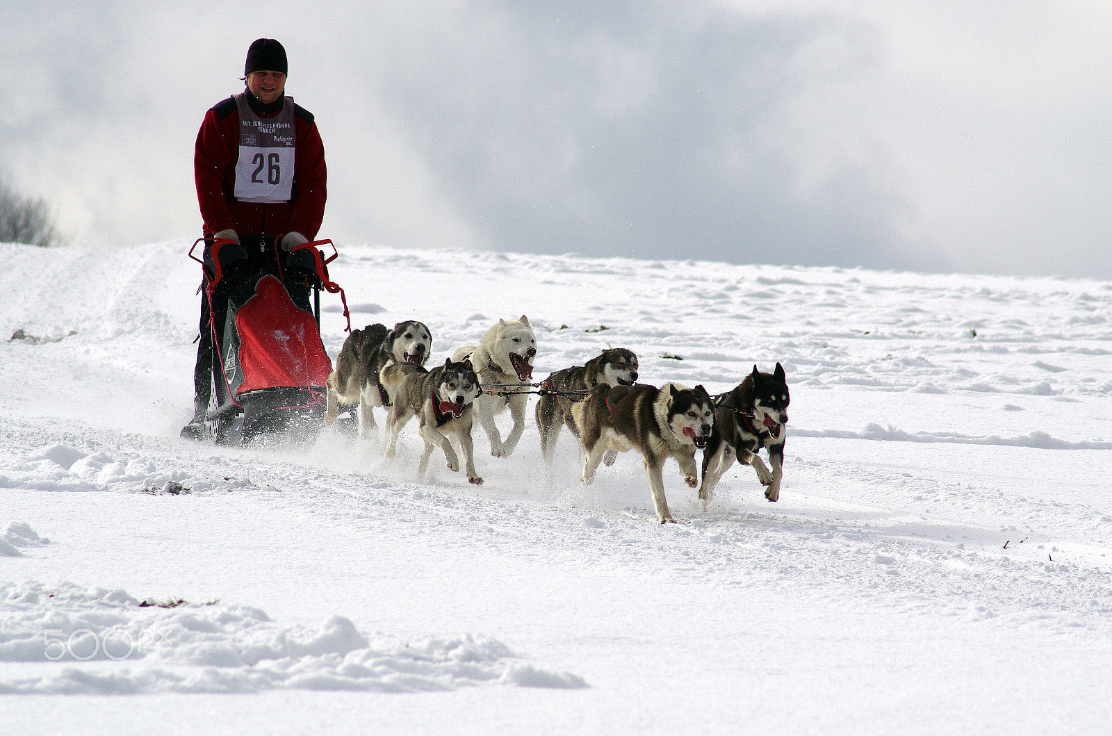 Pentax K-5 + Tamron AF 70-300mm F4-5.6 Di LD Macro sample photo. Huskies photography