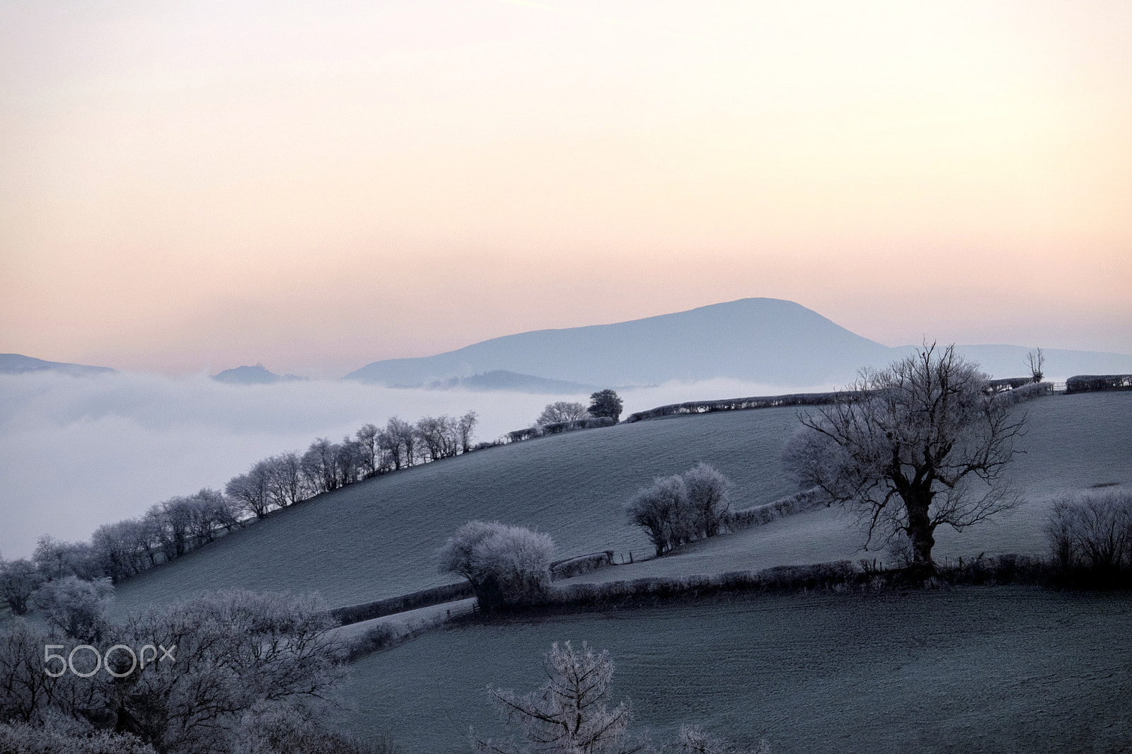Fujifilm X-E2 + Fujifilm XF 18-135mm F3.5-5.6 R LM OIS WR sample photo. Frost photography