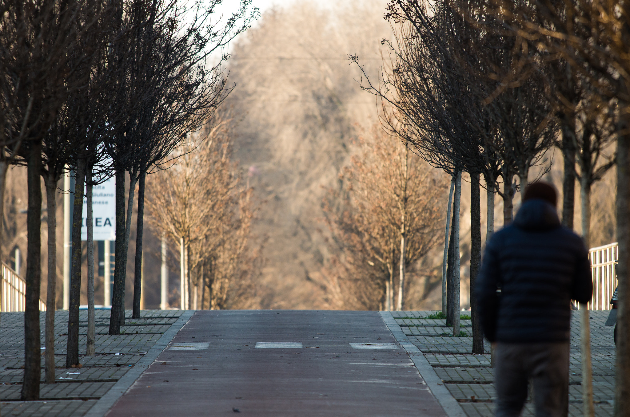 Pentax K-5 IIs sample photo. 3d bridge photography