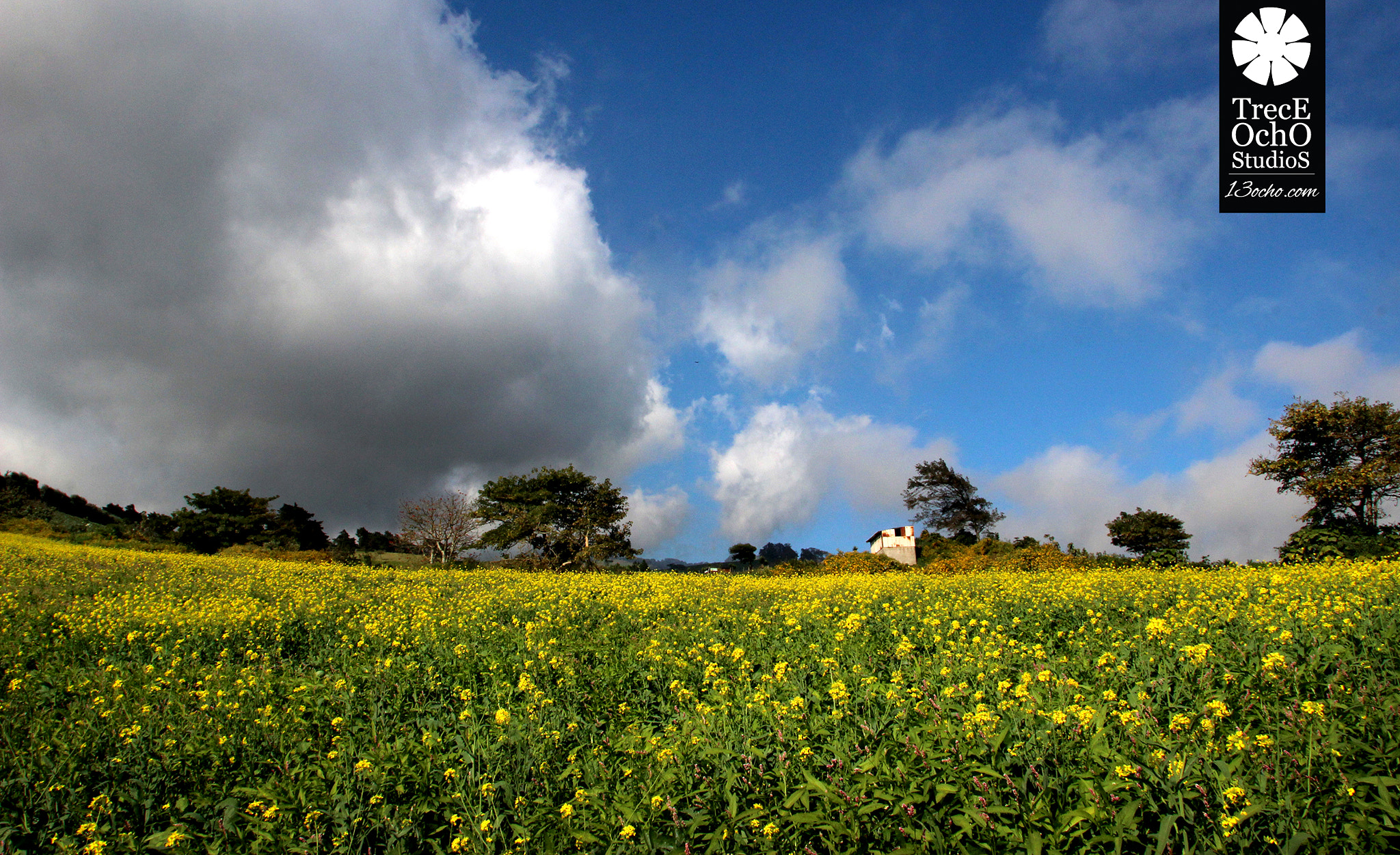 Canon EF 17-35mm f/2.8L sample photo. Colour photography