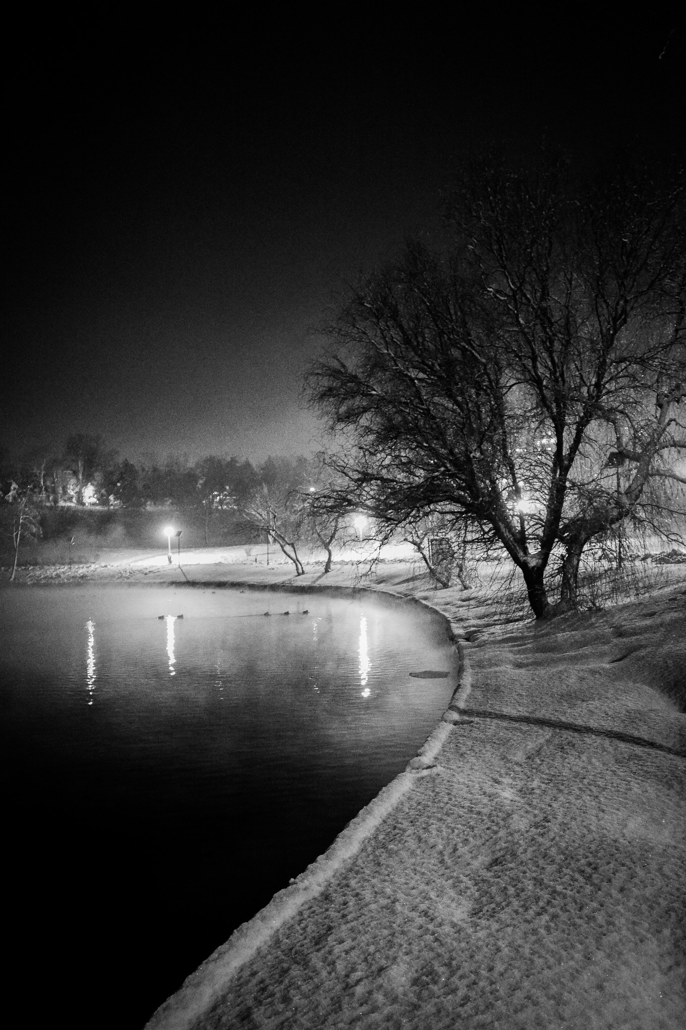 Nikon AF-S Nikkor 18-35mm F3.5-4.5G ED sample photo. Winter lake photography