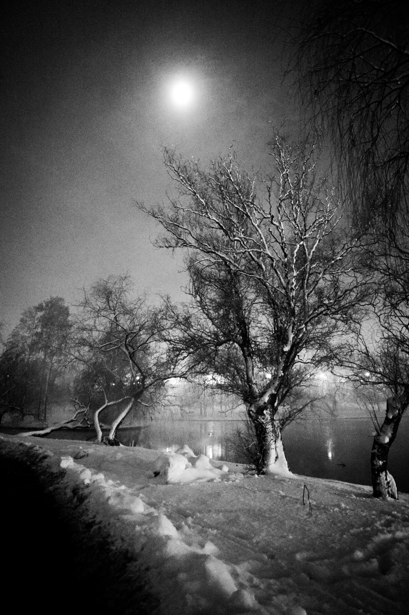 Nikon AF-S Nikkor 18-35mm F3.5-4.5G ED sample photo. Moon cast winter lake photography