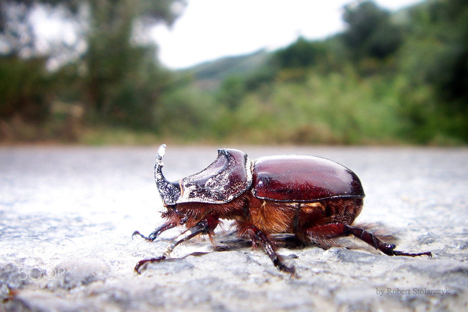 Kodak V610 DUAL LENS DIGITAL CAMERA sample photo. On the way to polirrinia, greece photography