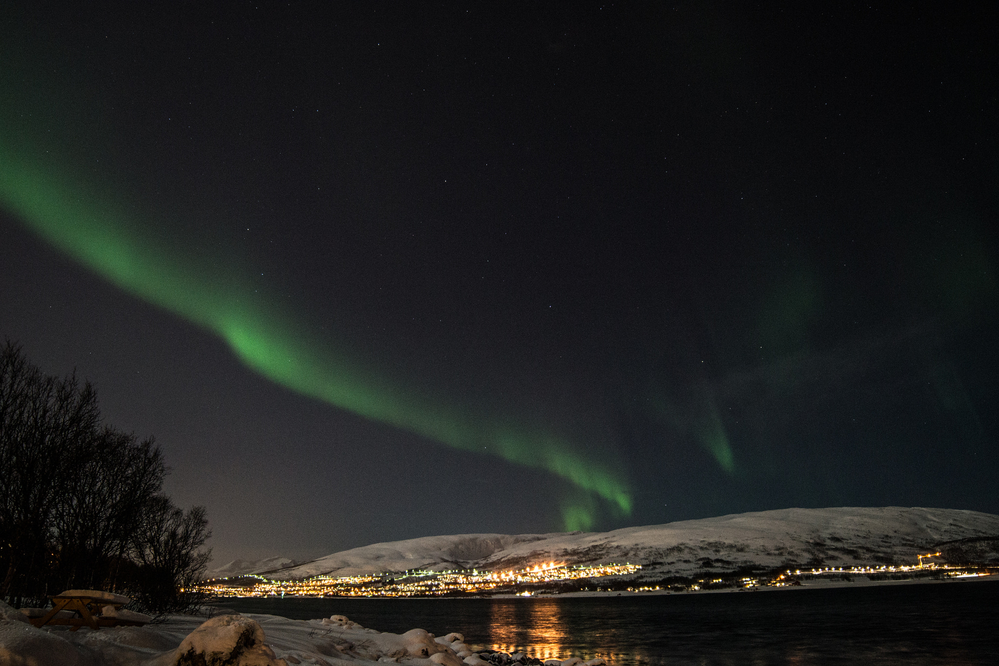 Samyang 14mm F2.8 ED AS IF UMC sample photo. Aurora over kvaløya photography