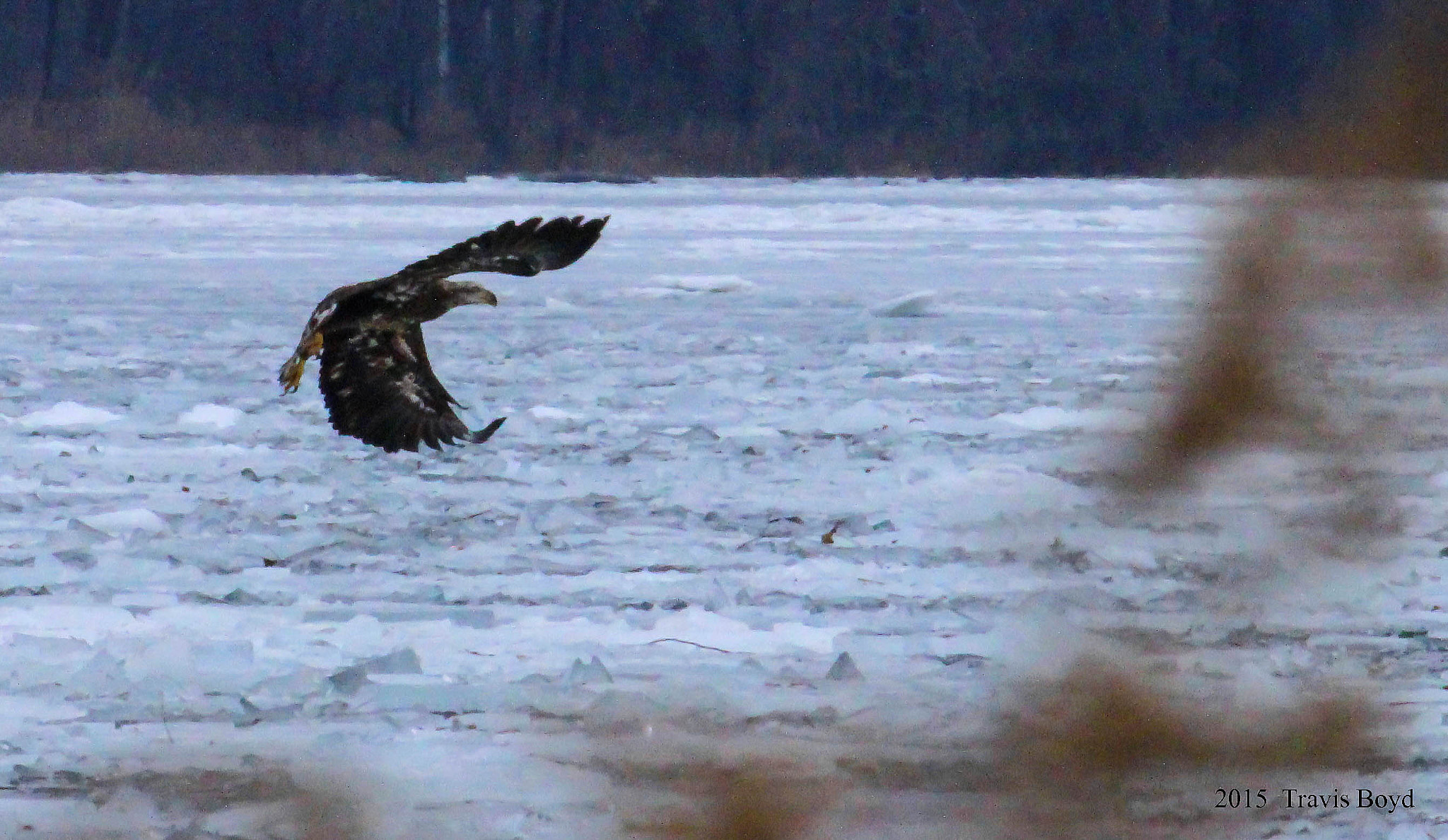 Canon EF 100-400mm F4.5-5.6L IS USM sample photo. Flying over the ice photography
