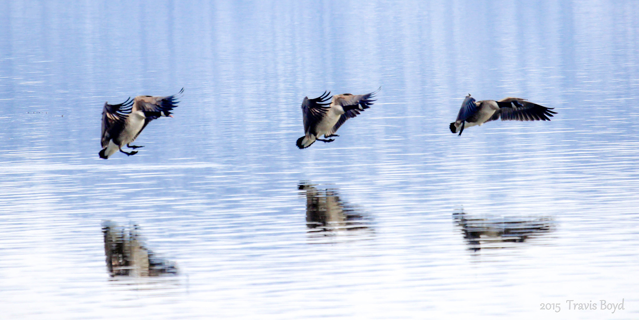 Canon EF 100-400mm F4.5-5.6L IS USM sample photo. Cleared for landing photography