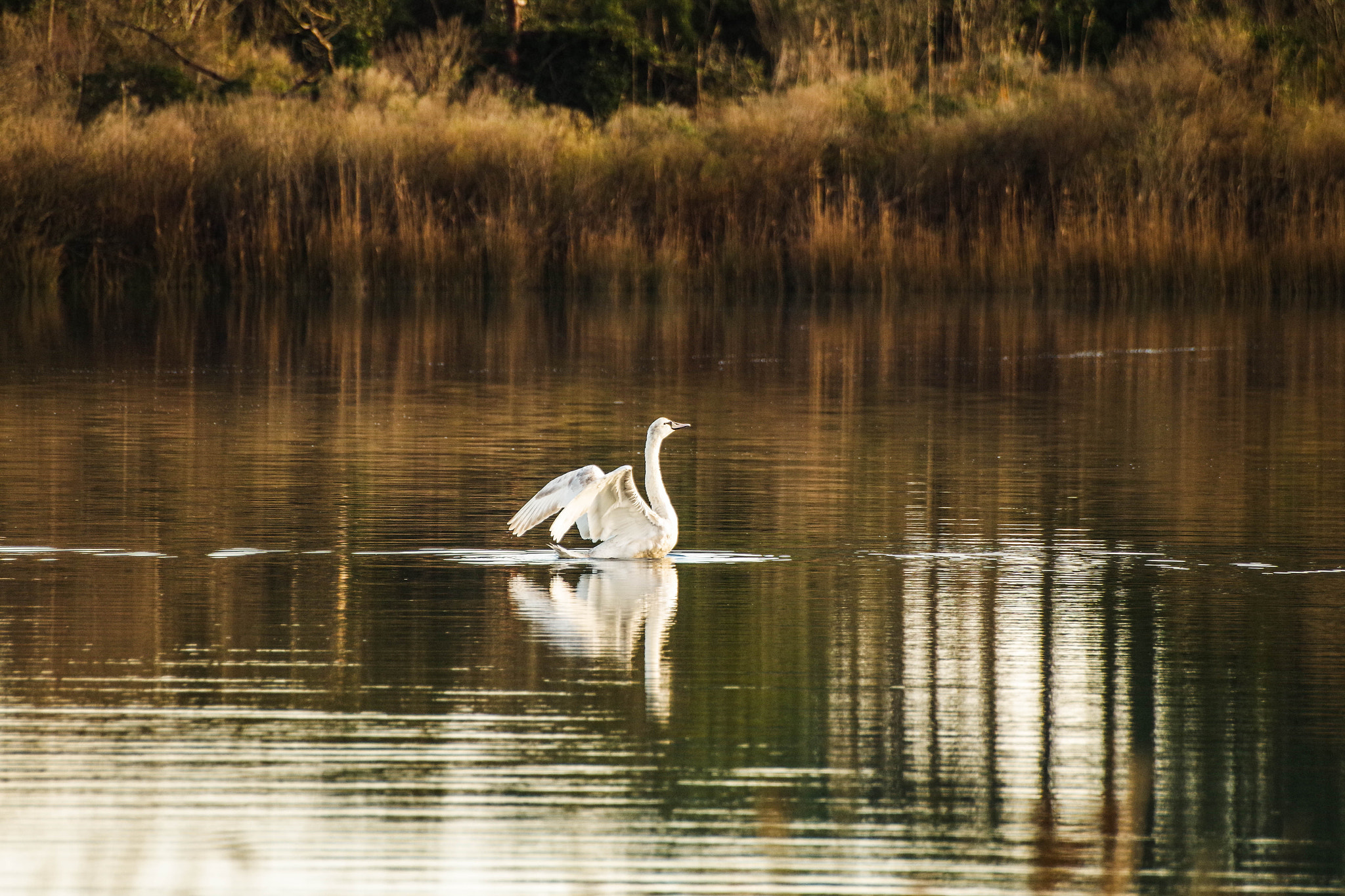 Pentax K-S2 + Sigma sample photo. Parc izadia la barre photography