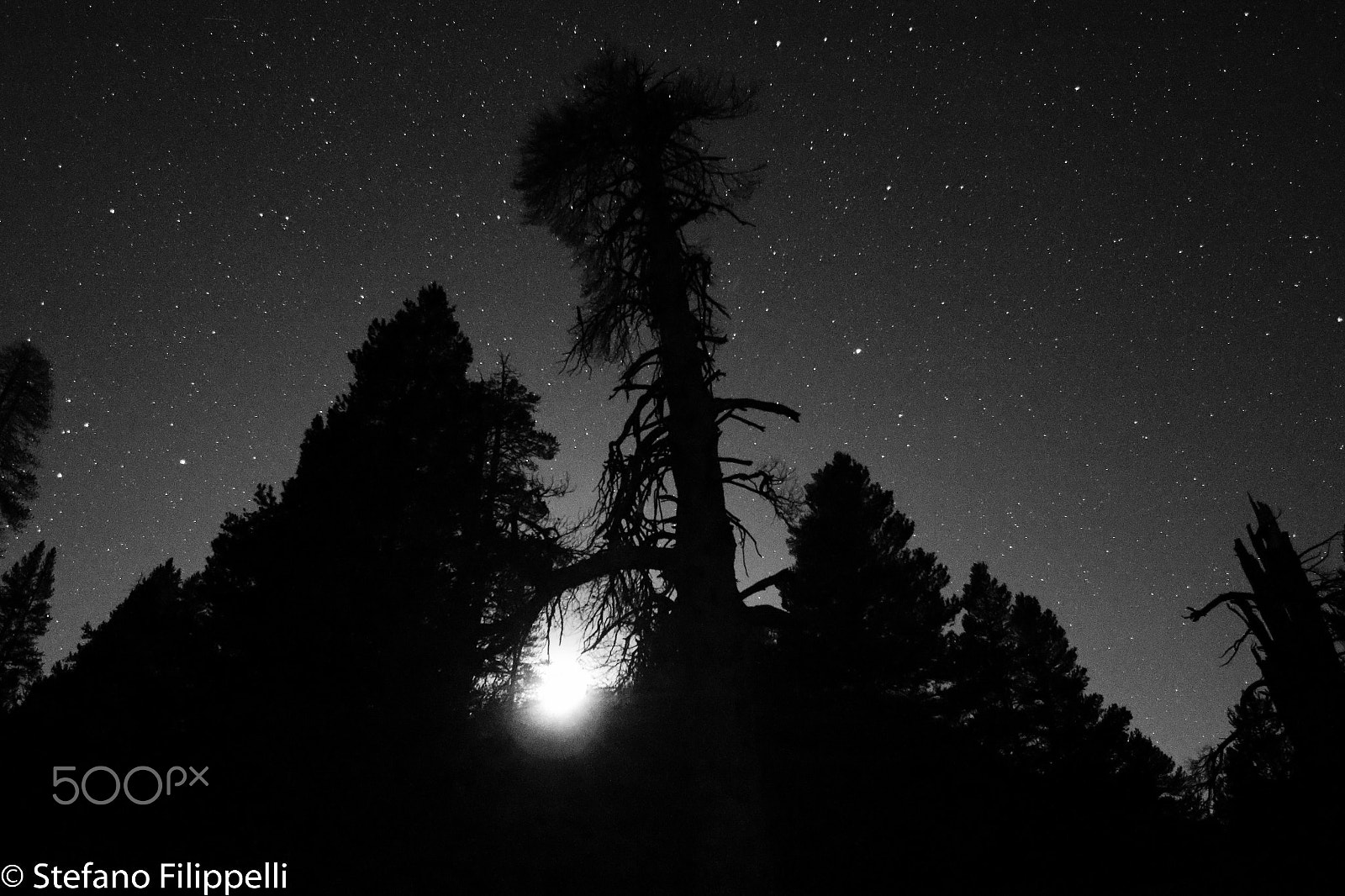 Canon EF 14mm F2.8L II USM sample photo. The setting moon photography
