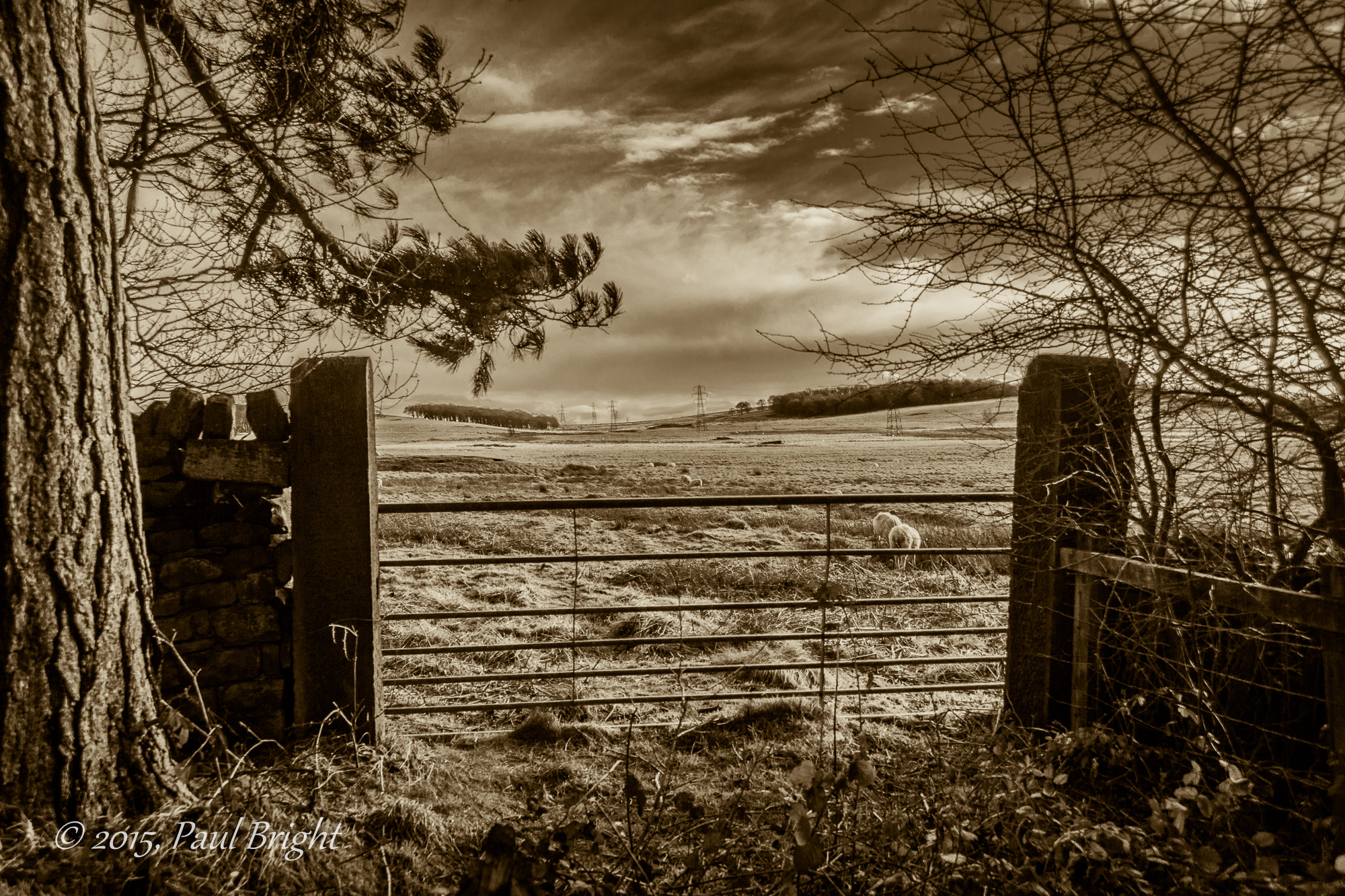 Canon EF-S 18-55mm F3.5-5.6 sample photo. Moorland meadow photography