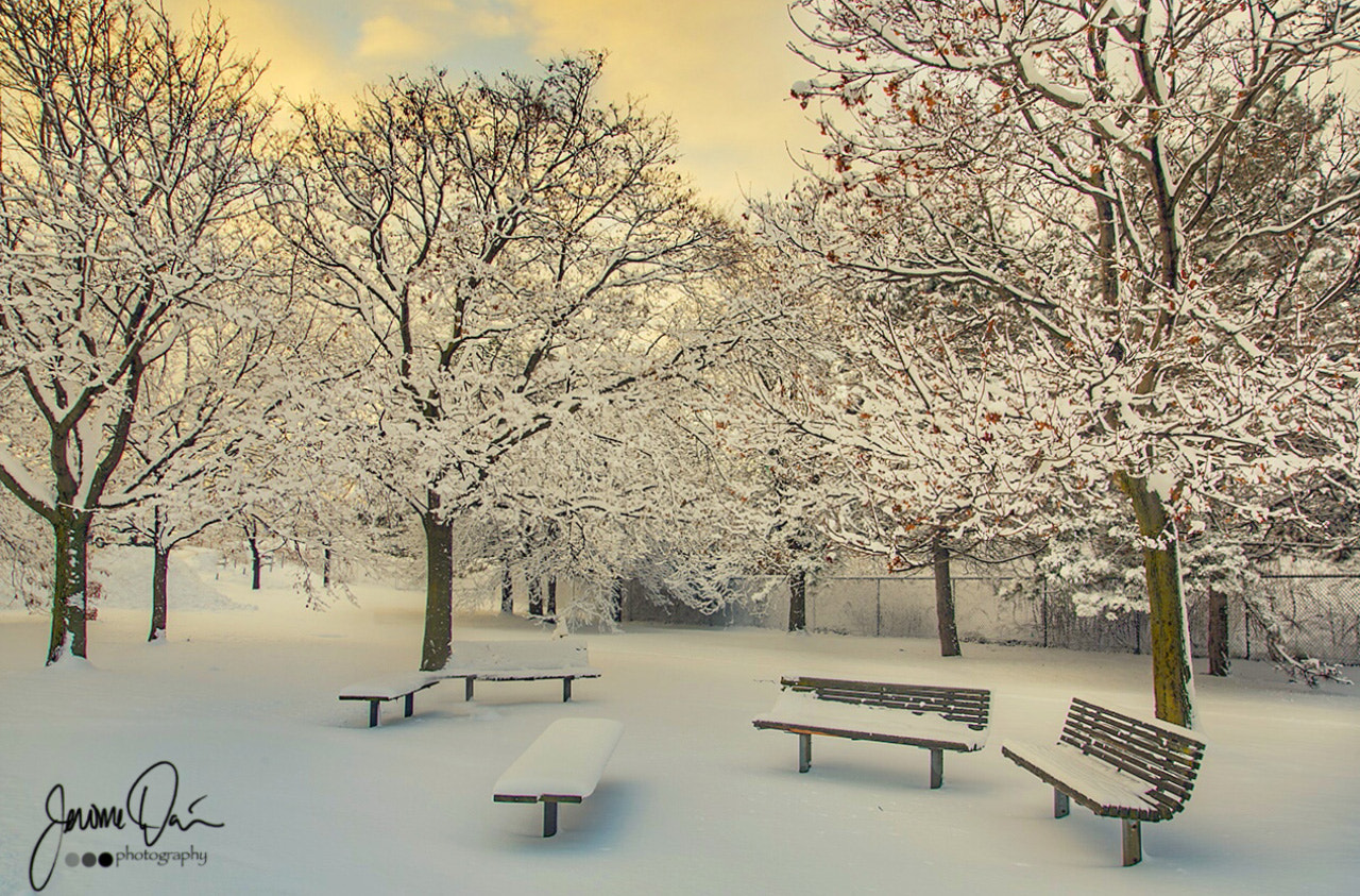 Sigma 24-105mm f/4 DG OS HSM | A sample photo. Snow bench photography