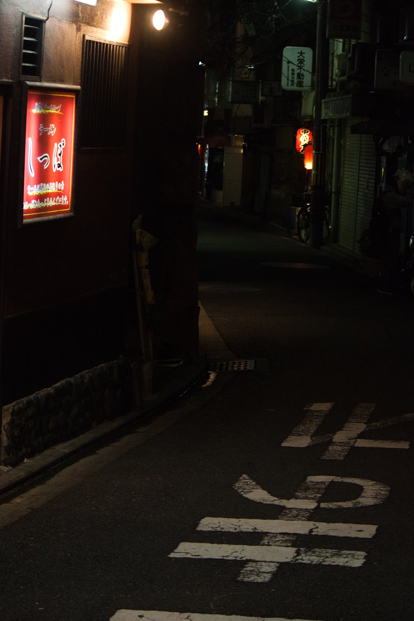 Canon EOS 500D (EOS Rebel T1i / EOS Kiss X3) sample photo. Gion street iii photography