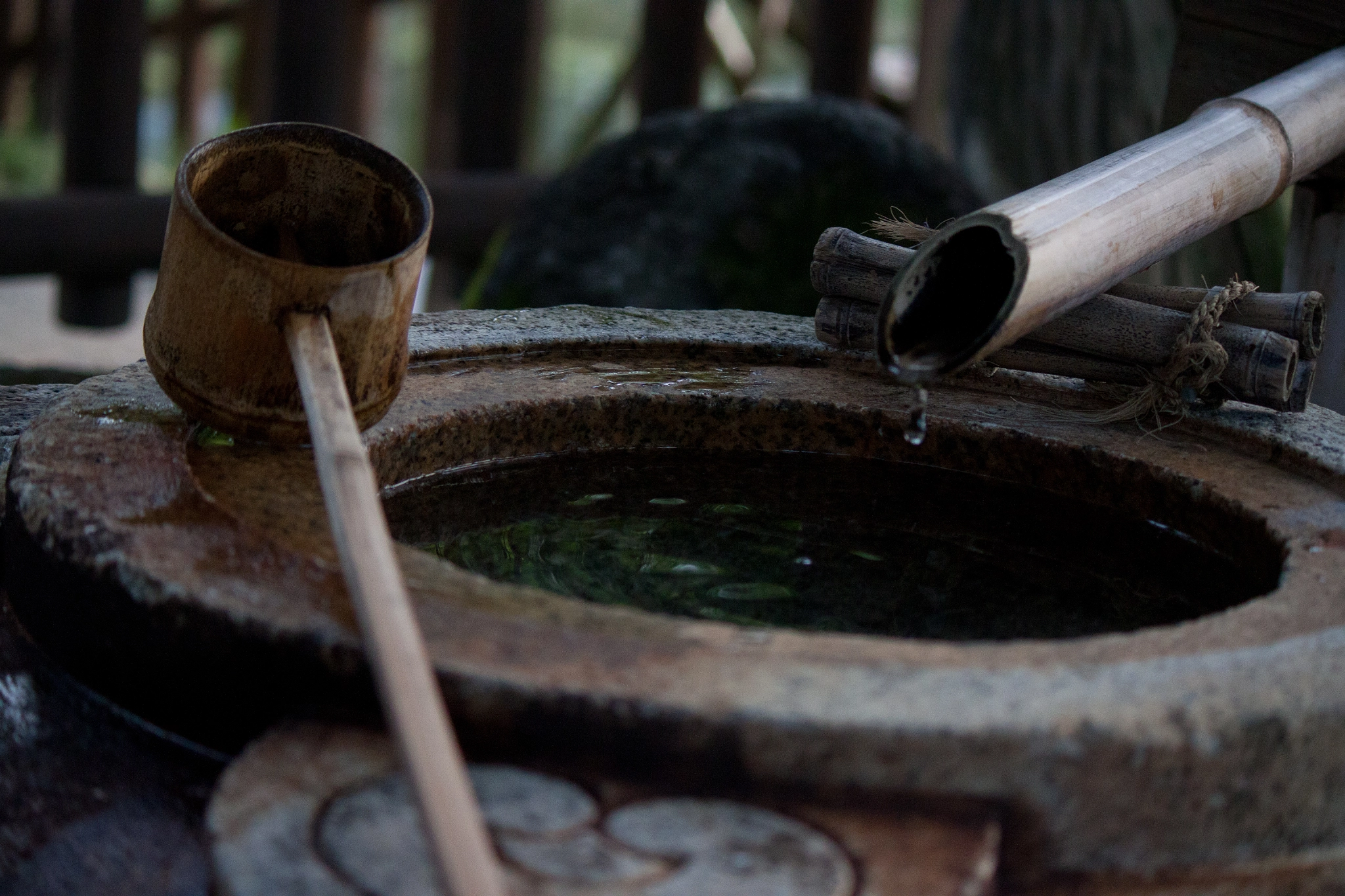Canon EOS 500D (EOS Rebel T1i / EOS Kiss X3) sample photo. Falling water photography