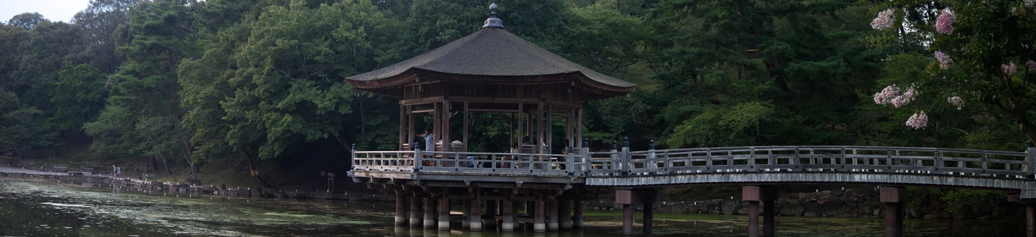 Canon EOS 500D (EOS Rebel T1i / EOS Kiss X3) sample photo. Nara pavillion photography