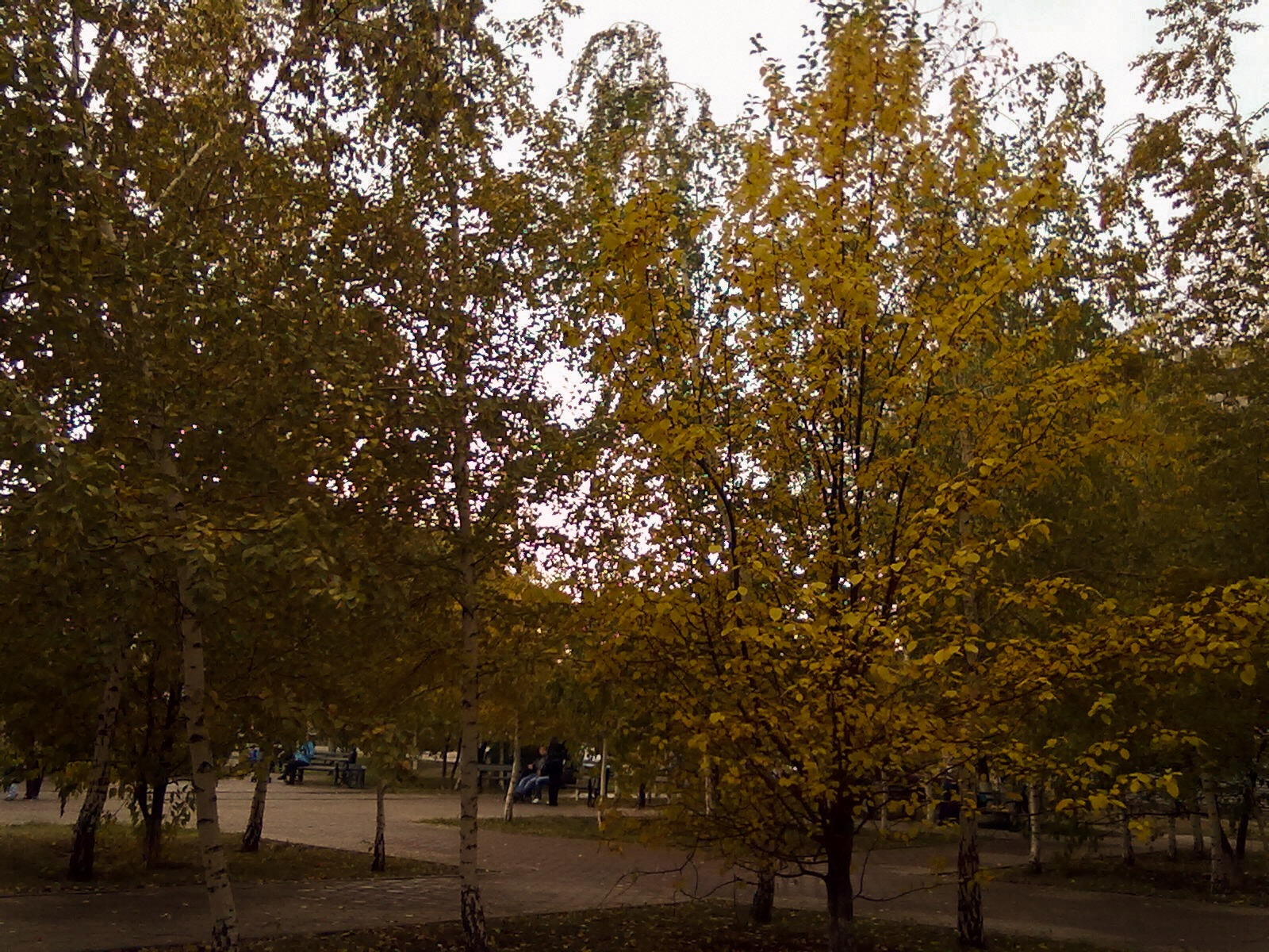 Nokia 5228 sample photo