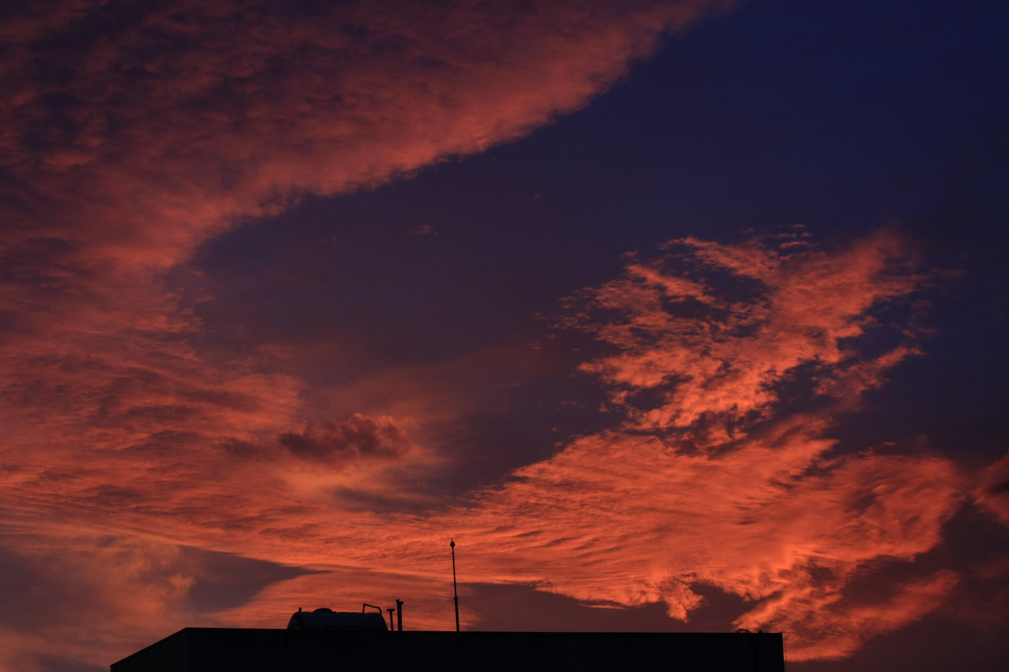 Canon EF-S 55-250mm F4-5.6 IS II sample photo. The red dragon photography