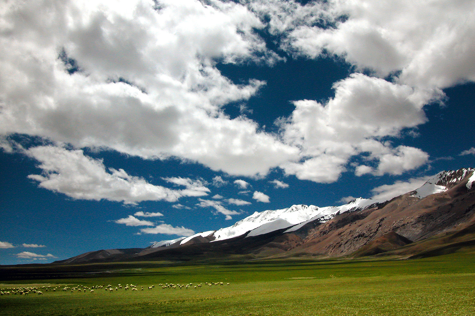 Nikon E5000 sample photo. Tibet ali cuoqin scenery photography