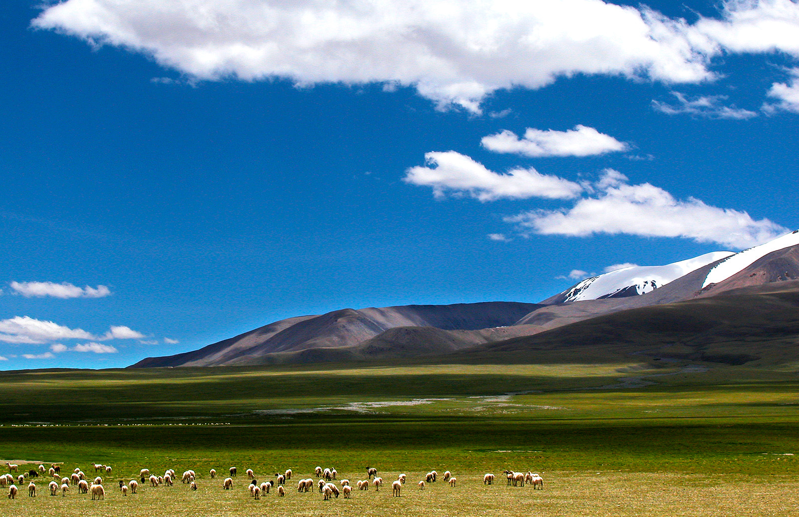 Nikon E5000 sample photo. Tibet ali cuoqin scenery photography
