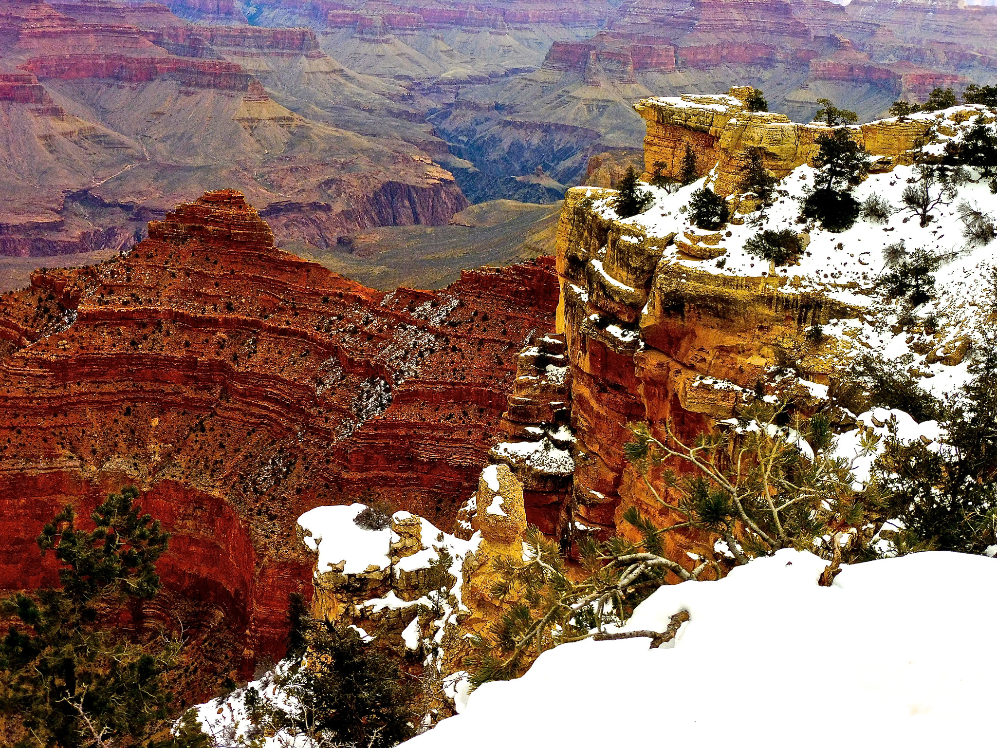Panasonic DMC-ZS45 sample photo. Grand canyon & sedona 2016 photography