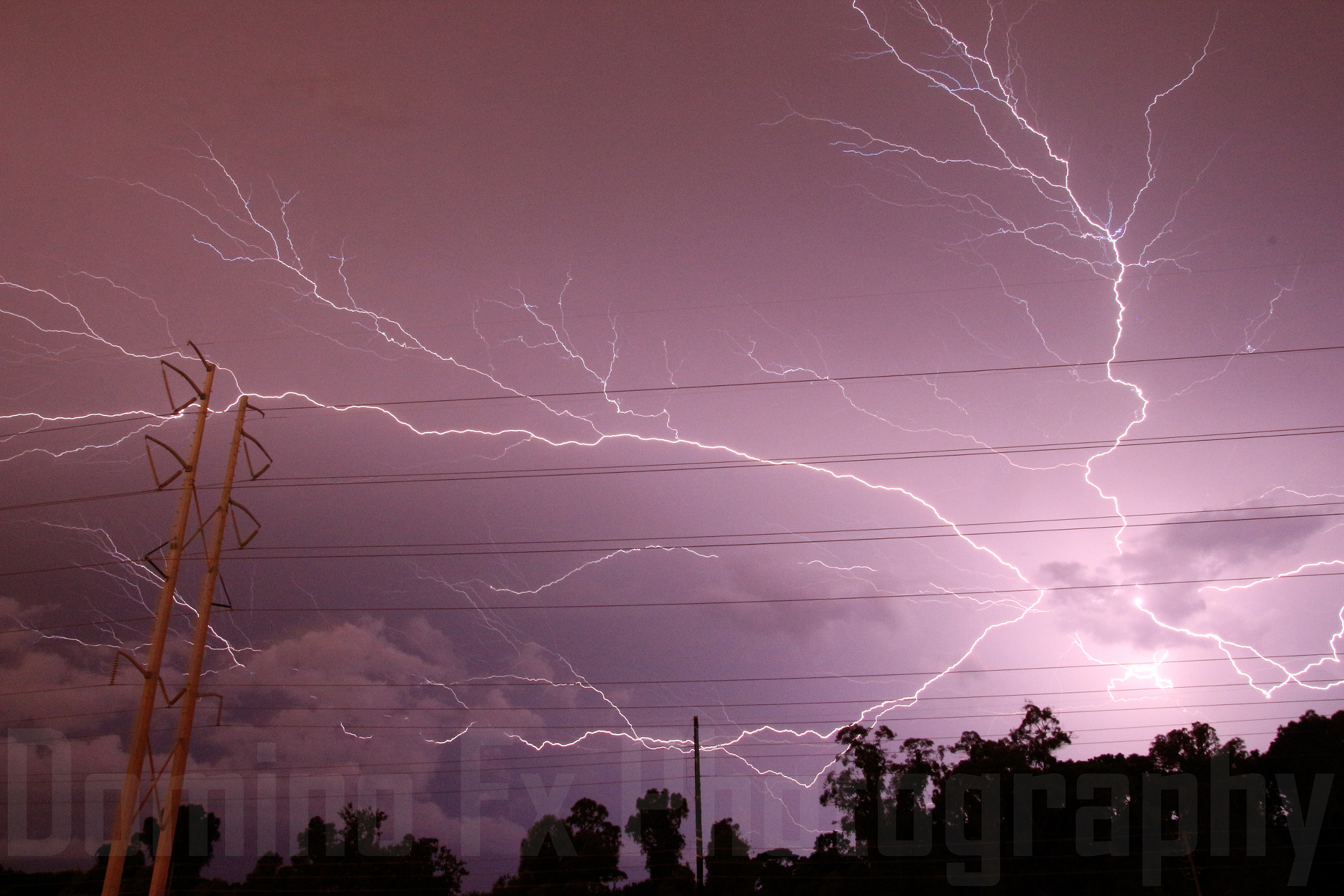 Tamron SP AF 17-50mm F2.8 XR Di II LD Aspherical (IF) sample photo. Typical florida.jpg photography