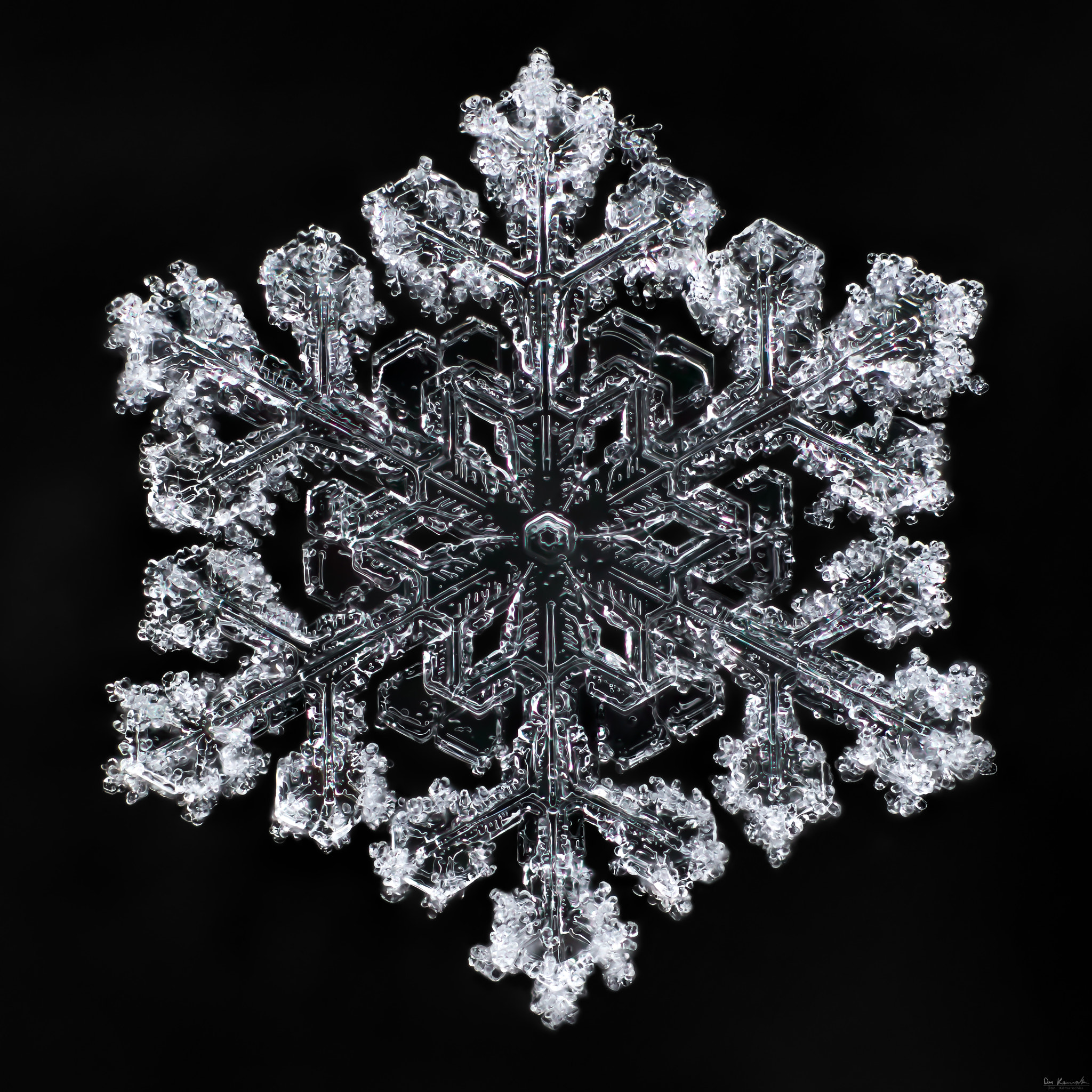 Canon MP-E 65mm F2.5 1-5x Macro Photo sample photo. Snowflake-a-day #51 photography