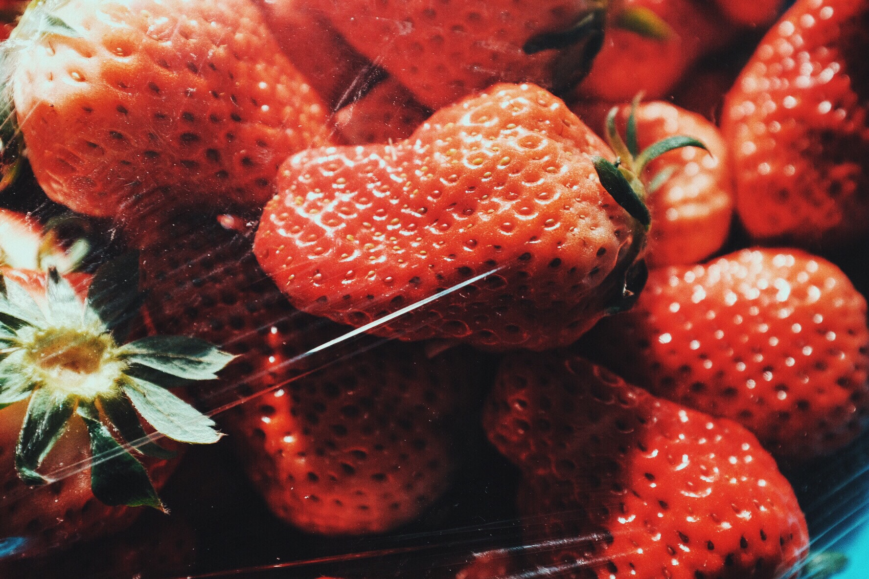 v2?sig=83032505d88f73a3d24275fec44d024d175276c385313782523ad30461e454a4