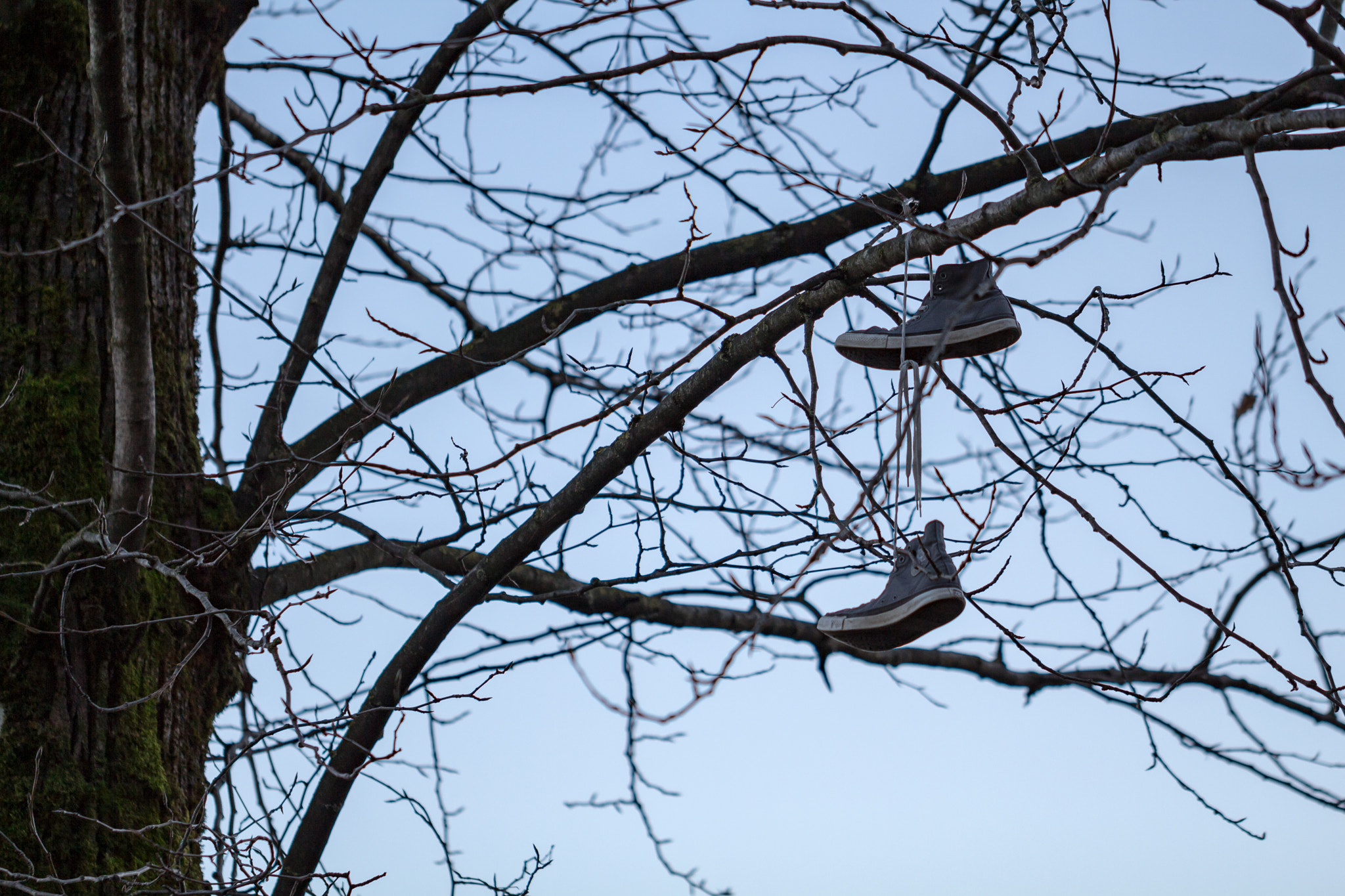 Canon EF 100mm F2.8L Macro IS USM sample photo. Shoes hanging photography