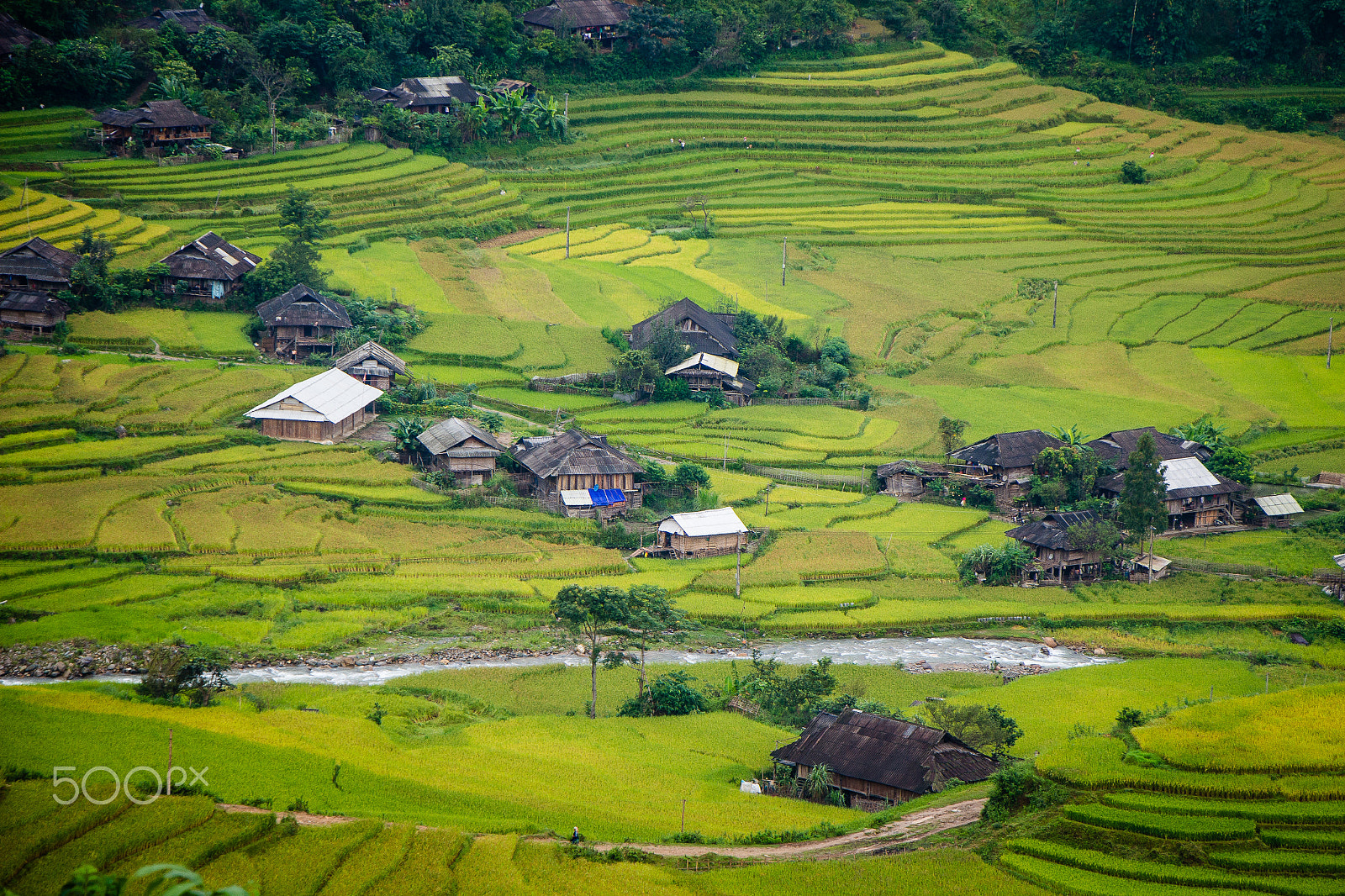 Canon EOS 650D (EOS Rebel T4i / EOS Kiss X6i) sample photo. Terraced fields ai mù căng chải photography
