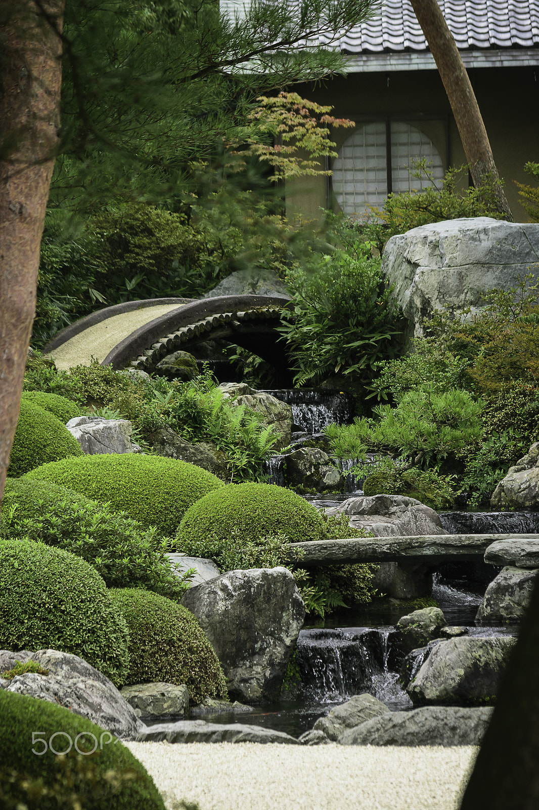 Sigma 70-300mm F4-5.6 APO DG Macro sample photo. Amazing japanese garden - adashi in shimane photography