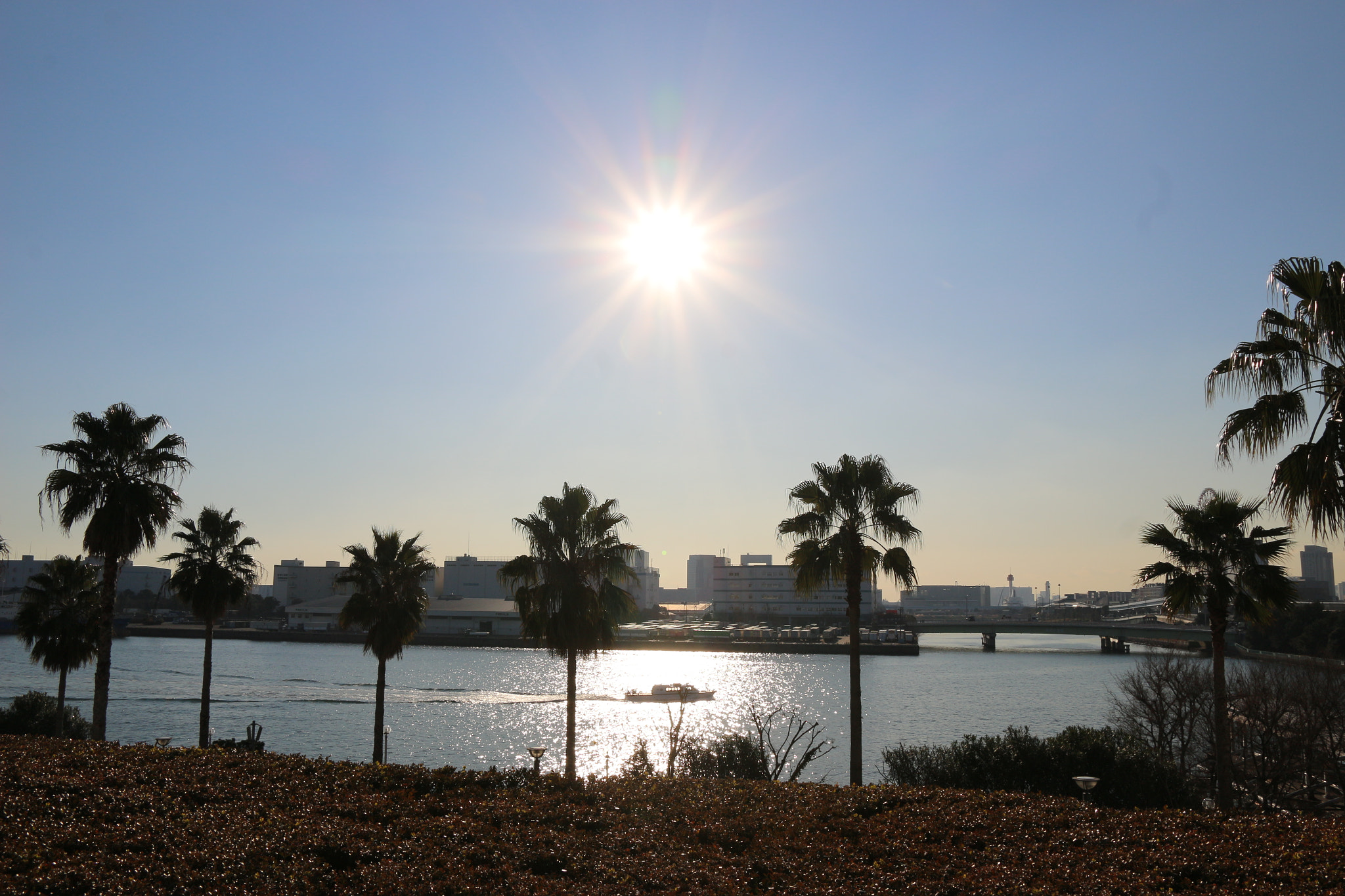 Canon EOS 100D (EOS Rebel SL1 / EOS Kiss X7) sample photo. Sun at tokyo big sight in odaiba, tokyo photography