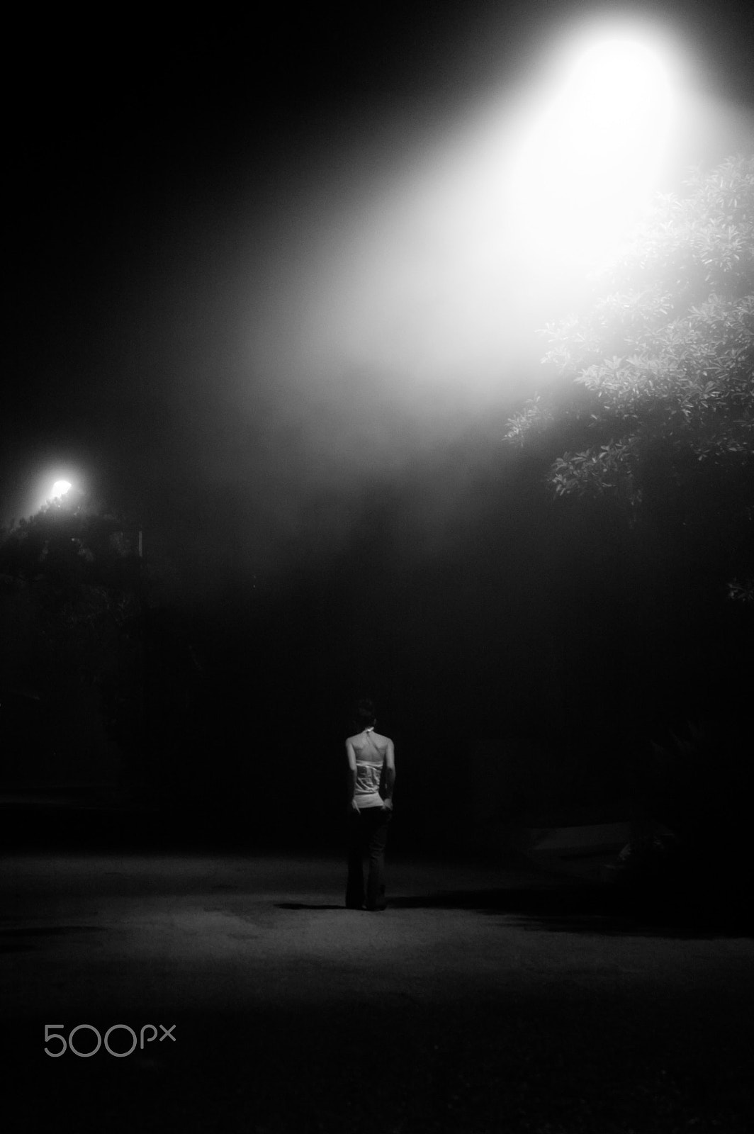 Nikon D70 sample photo. Last impression photography