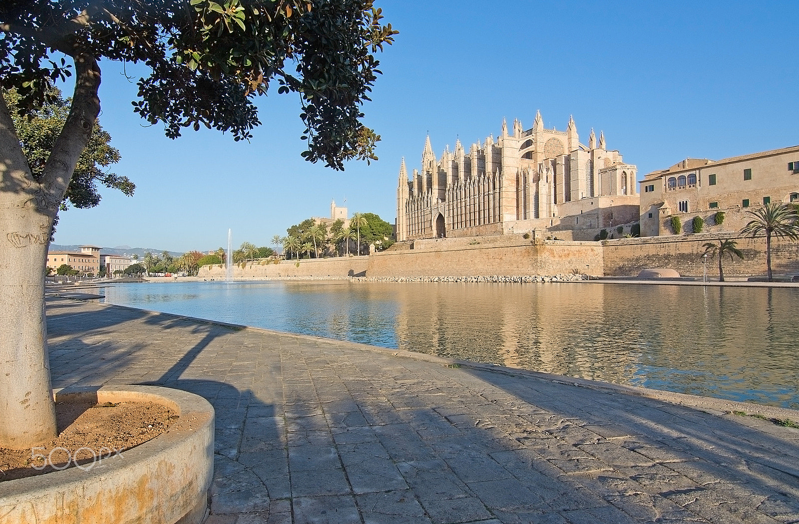 Nikon AF-S Nikkor 28-70mm F2.8 ED-IF sample photo. The cathedral la seu photography