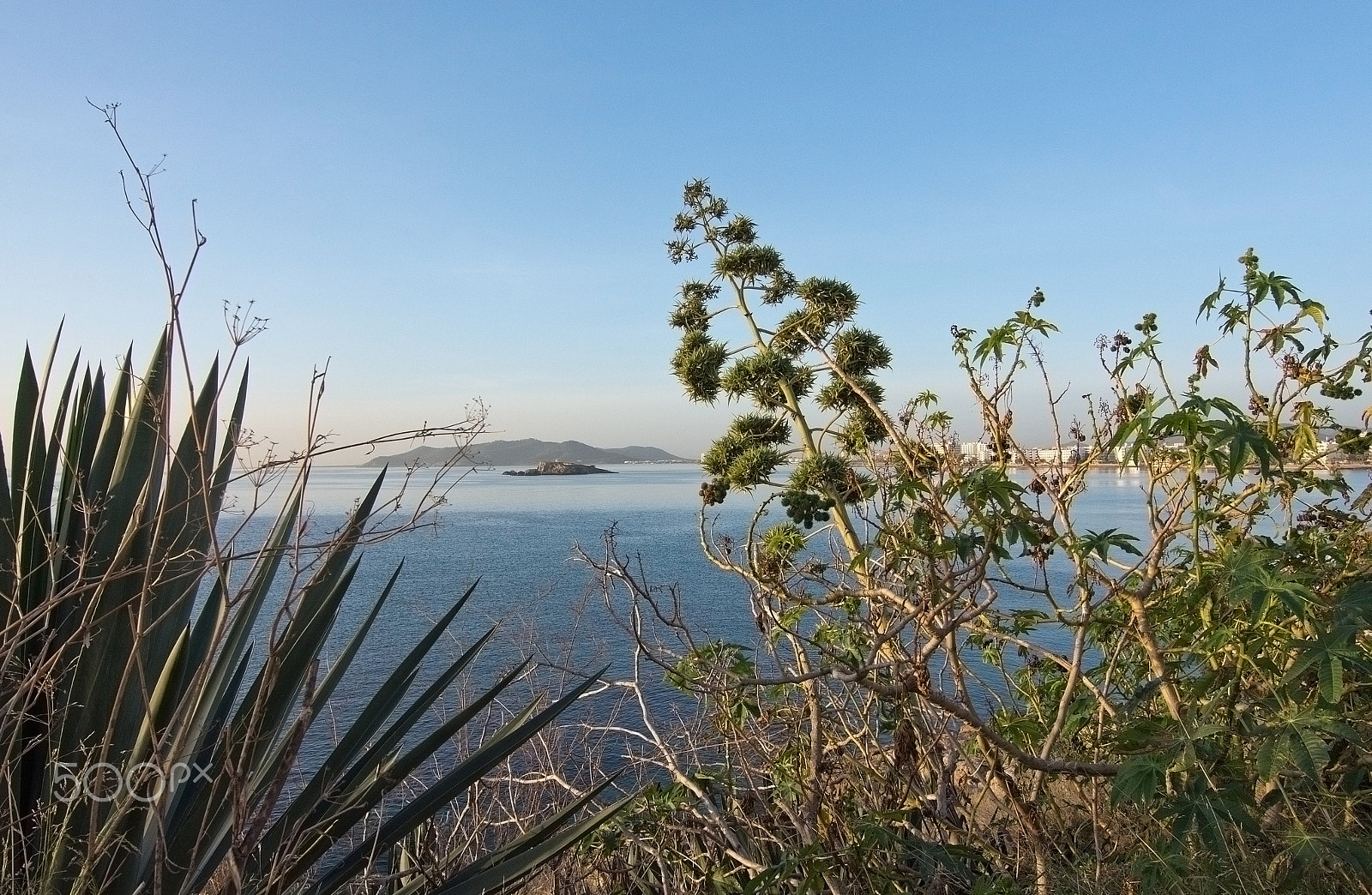 AF Zoom-Nikkor 24-50mm f/3.3-4.5 sample photo. Figuereta bay in bright sunshine photography