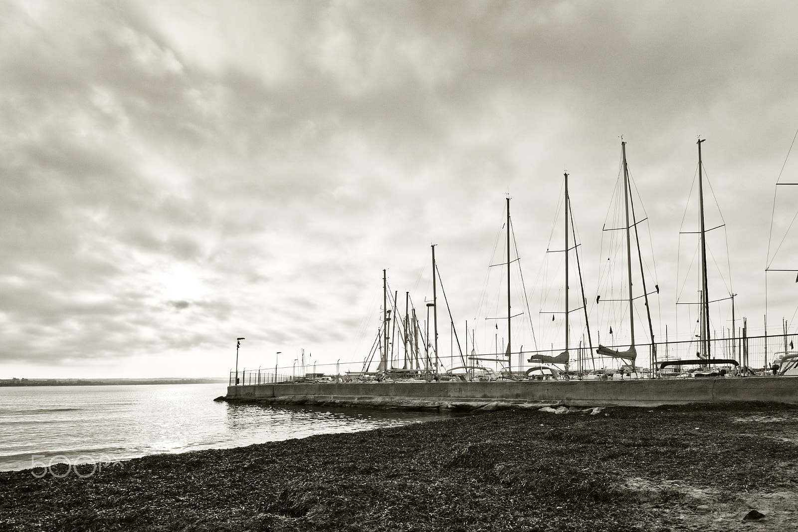 Nikon D7100 + AF Nikkor 20mm f/2.8 sample photo. Beach with seagrass and marina with masts photography