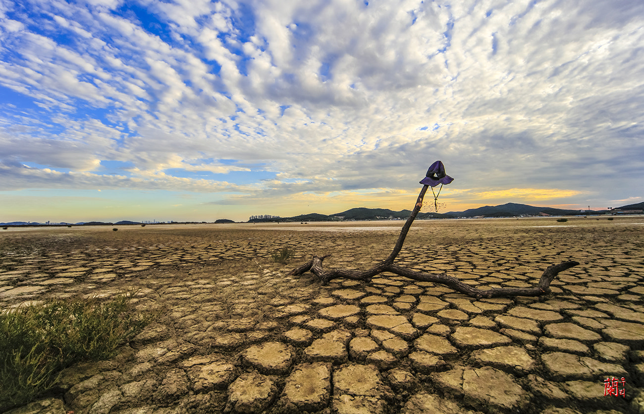 Canon EOS 5DS sample photo. Dry heat photography