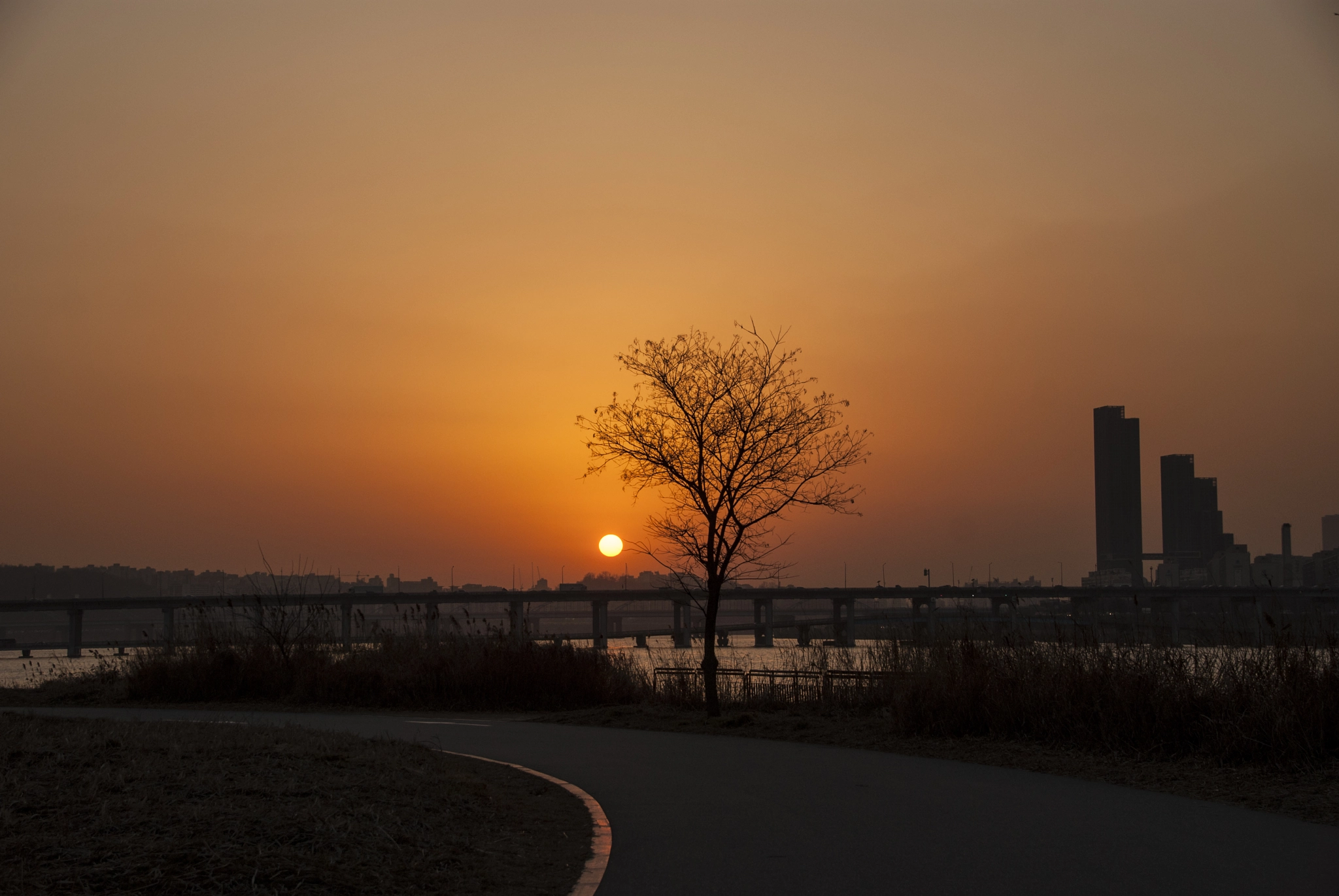 Sony Alpha DSLR-A300 + Tamron AF 28-105mm F4-5.6 [IF] sample photo. Sunset & tree photography